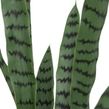 Floare decorativa, sansevieria ghiveci plastic toby H90 cm - Atmosphera