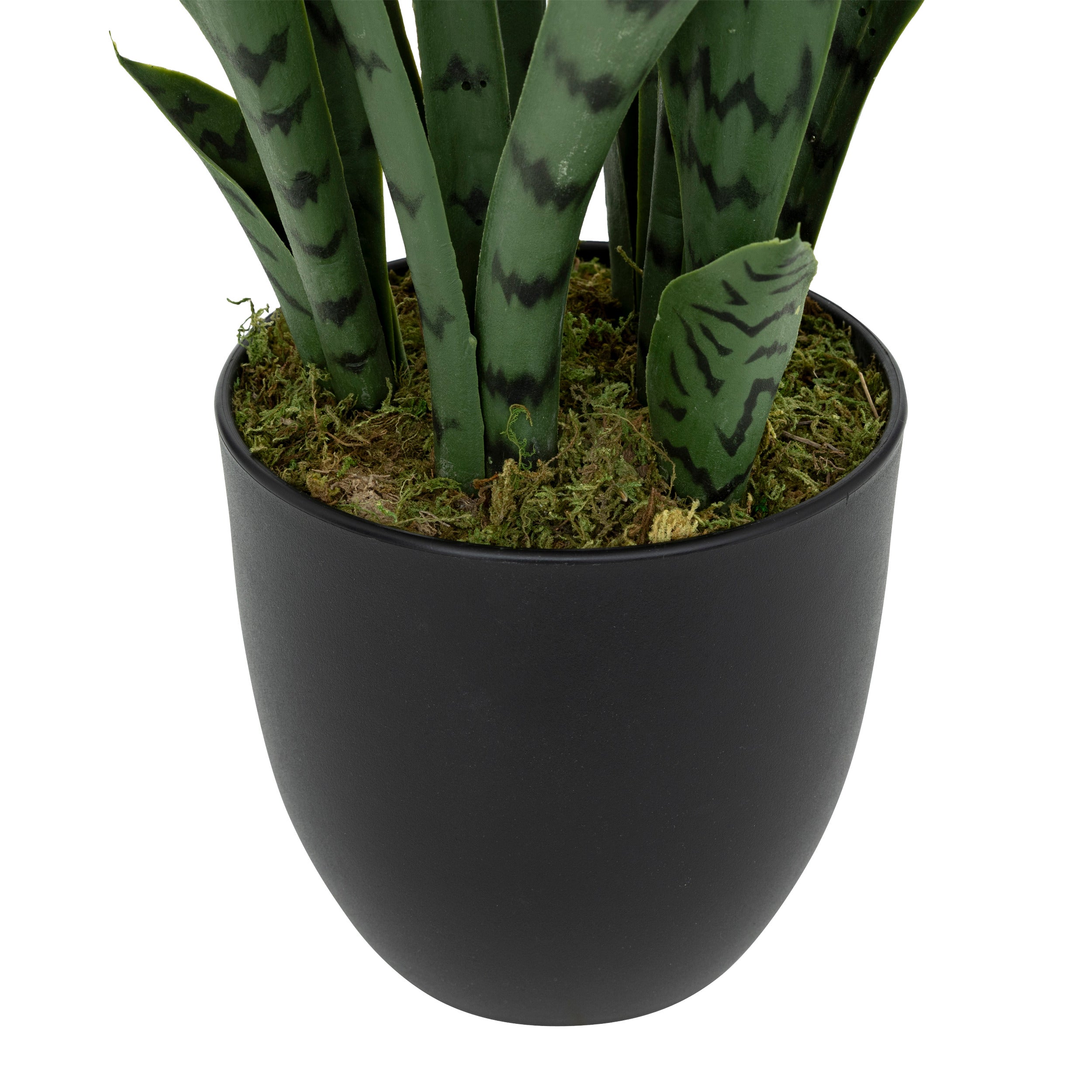 Floare decorativa, sansevieria ghiveci plastic toby H90 cm - Atmosphera