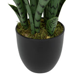 Floare decorativa, sansevieria ghiveci plastic toby H90 cm - Atmosphera
