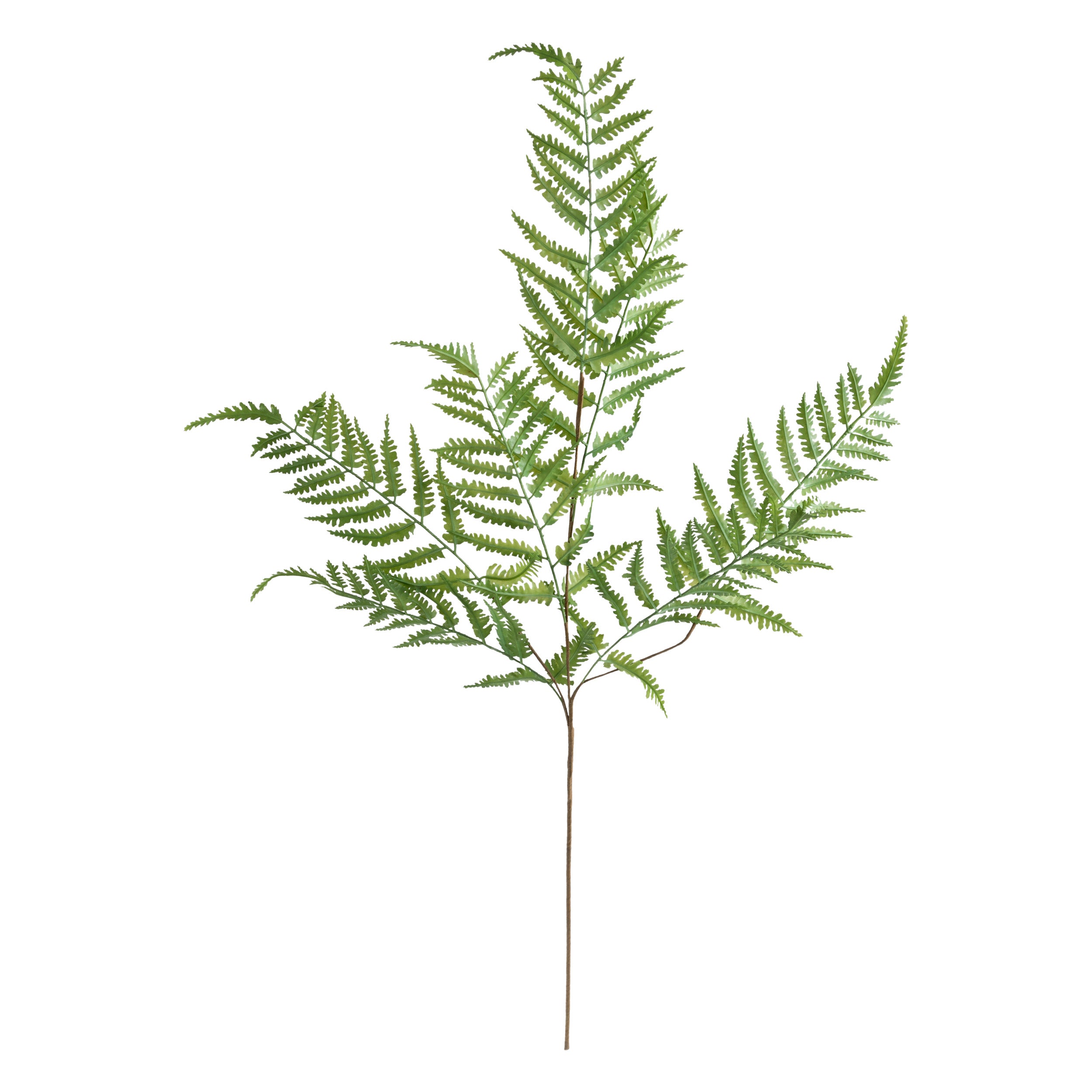 Floare decorativa, tulpina feriga verde james H90 cm - Atmosphera