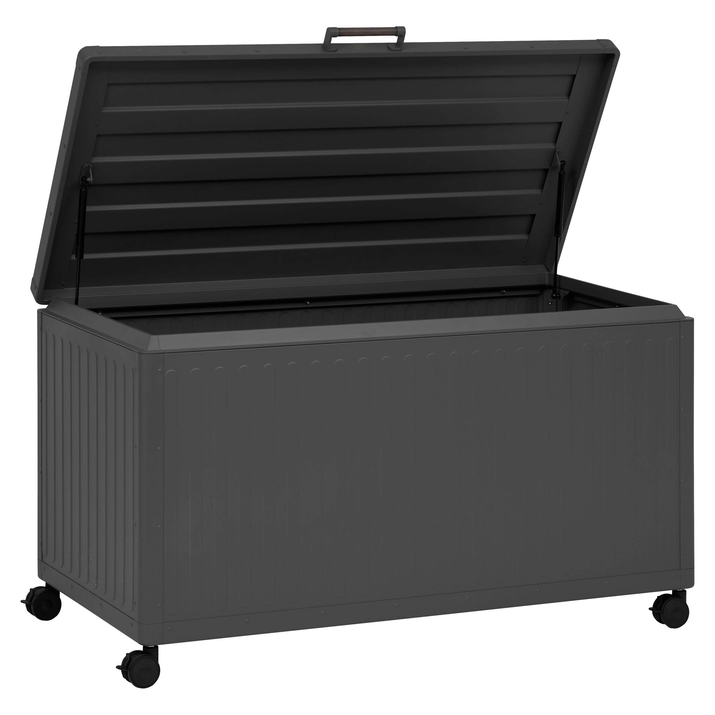Lada de depozitare Edenio grafit M 141,6 x 72 x 78cm din aluminiu - Hesperide