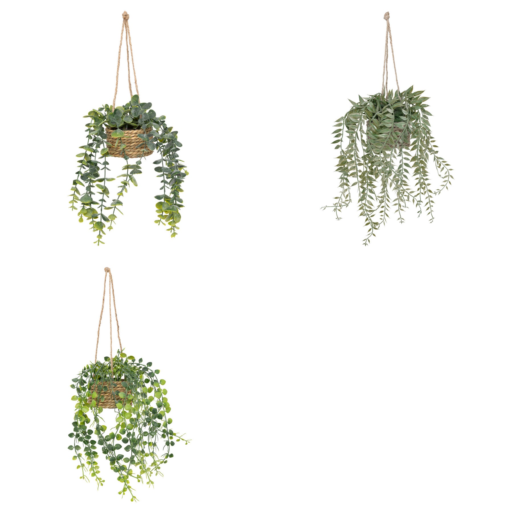 Floare decorativa, euca agatat natur patri H50 cm - Atmosphera