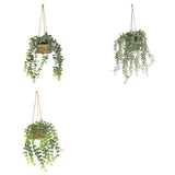 Floare decorativa, euca agatat natur patri H50 cm - Atmosphera