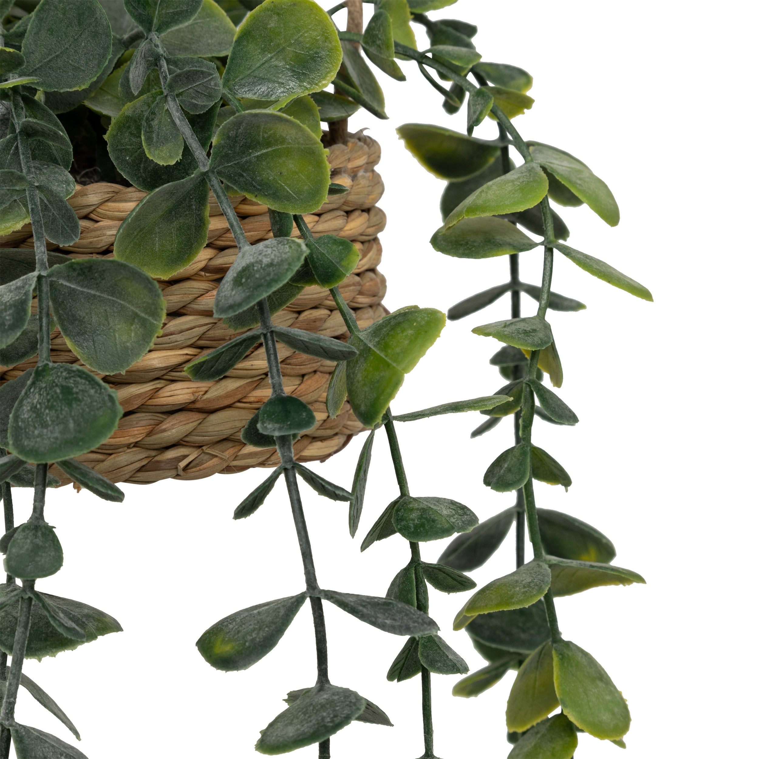 Floare decorativa, euca agatat natur patri H50 cm - Atmosphera