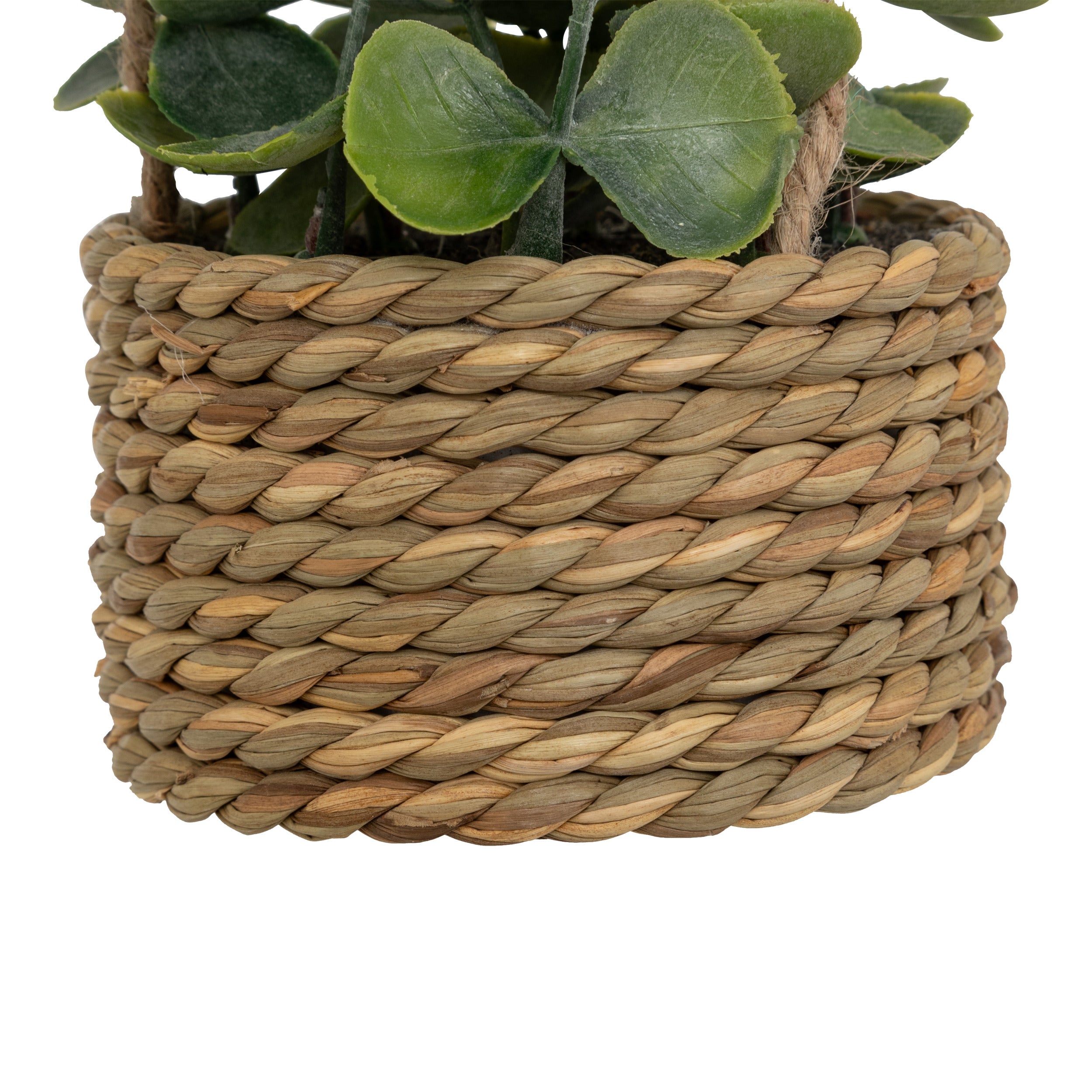 Floare decorativa, euca agatat natur patri H50 cm - Atmosphera