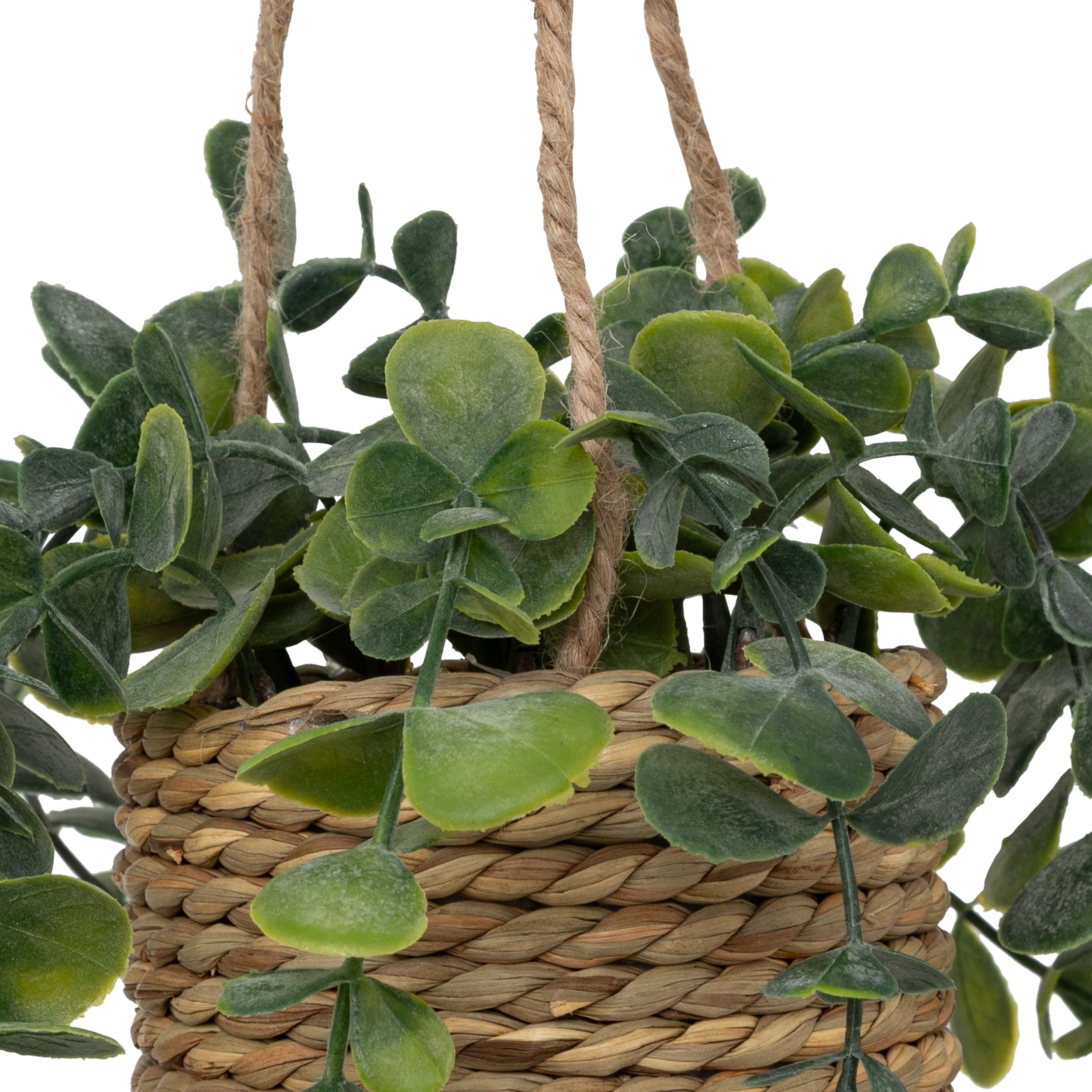 Floare decorativa, euca agatat natur patri H50 cm - Atmosphera