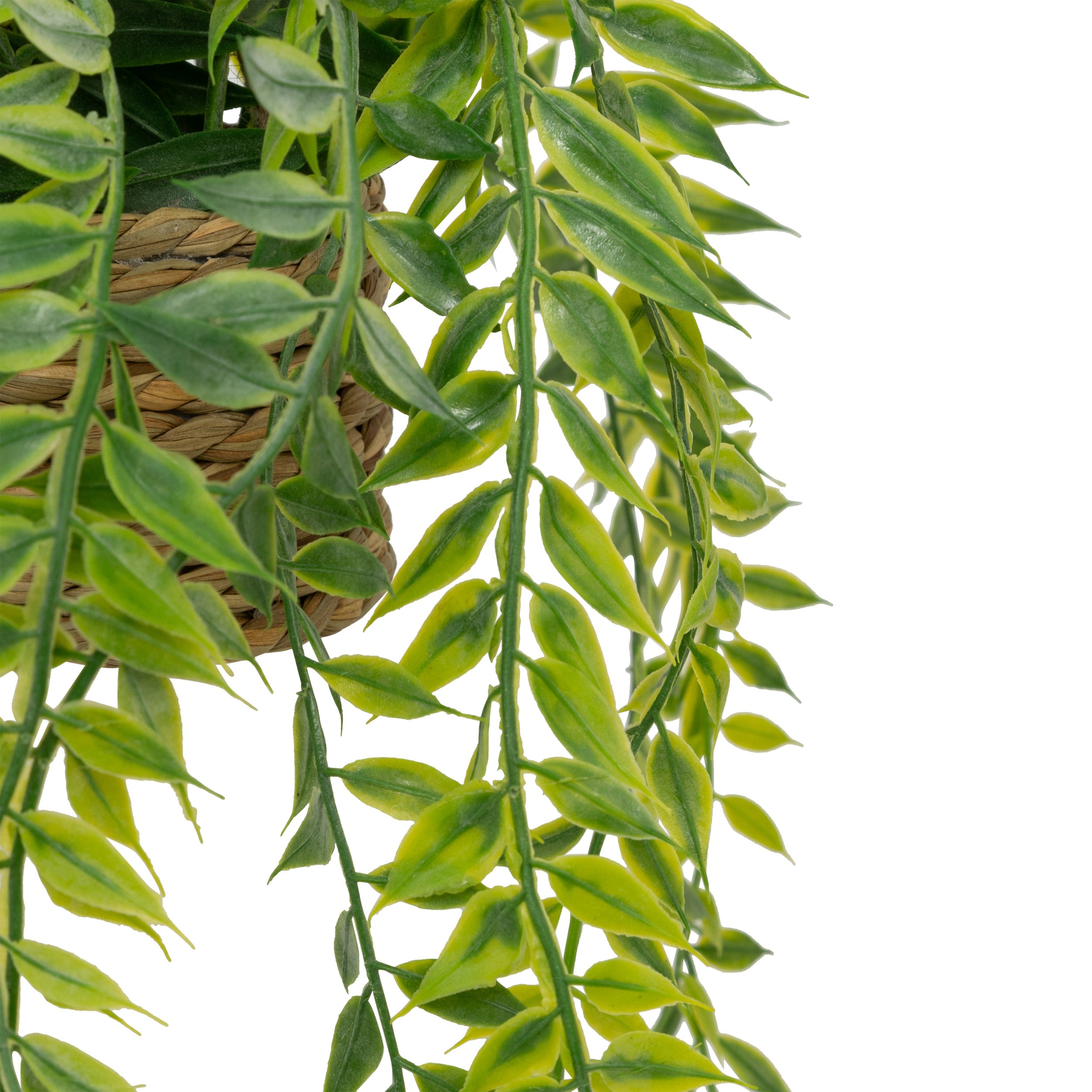 Floare decorativa, euca agatat natur patri H50 cm - Atmosphera