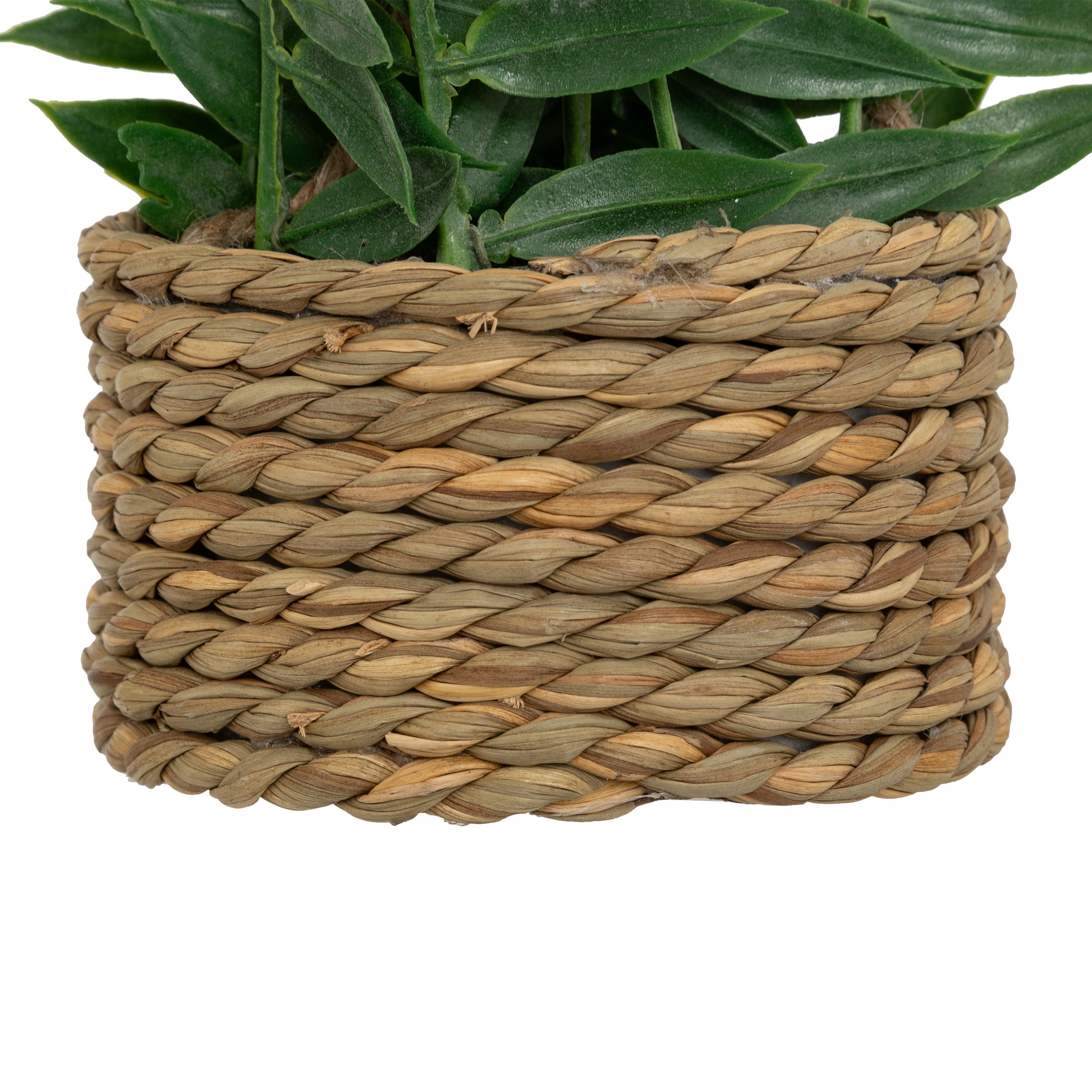 Floare decorativa, euca agatat natur patri H50 cm - Atmosphera