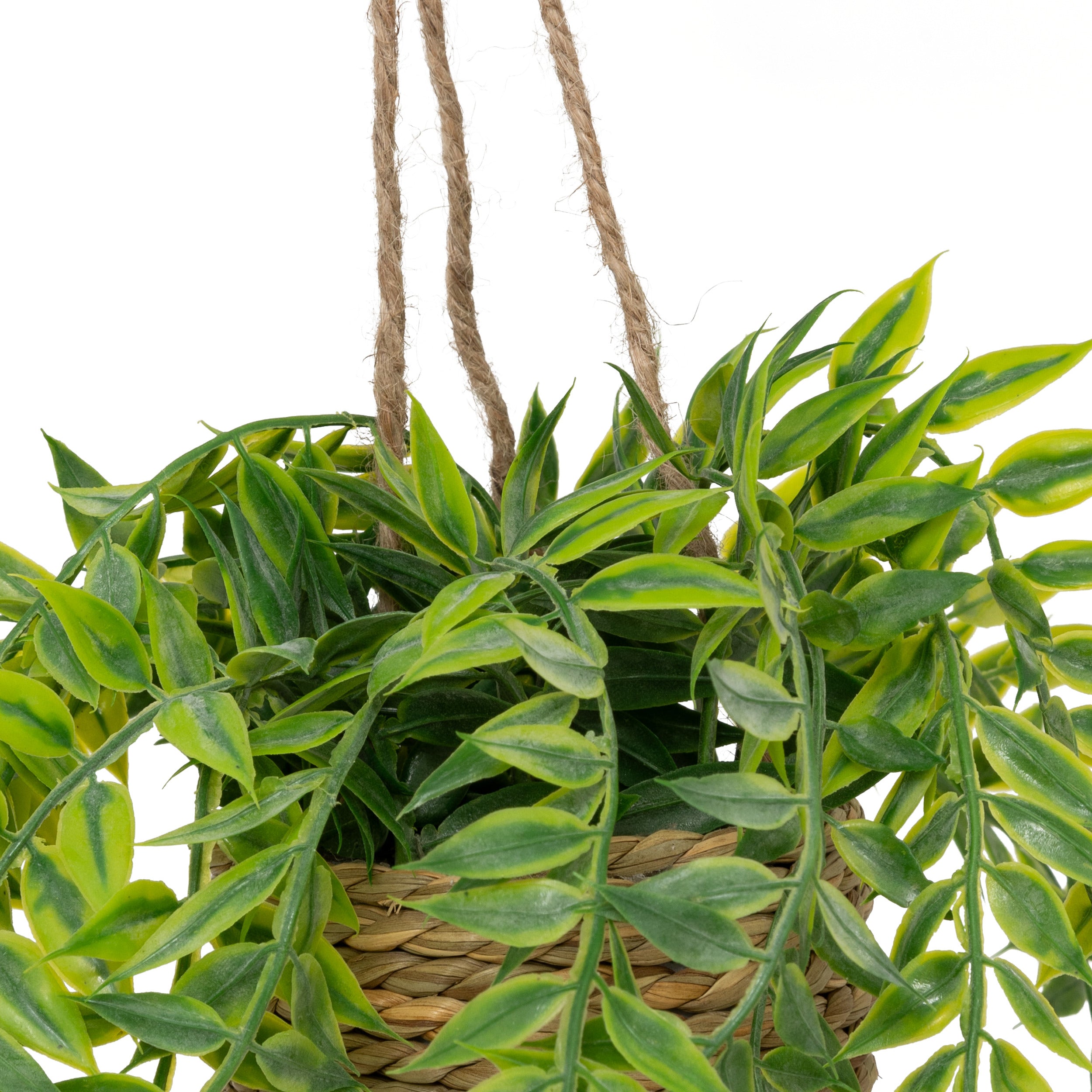Floare decorativa, euca agatat natur patri H50 cm - Atmosphera