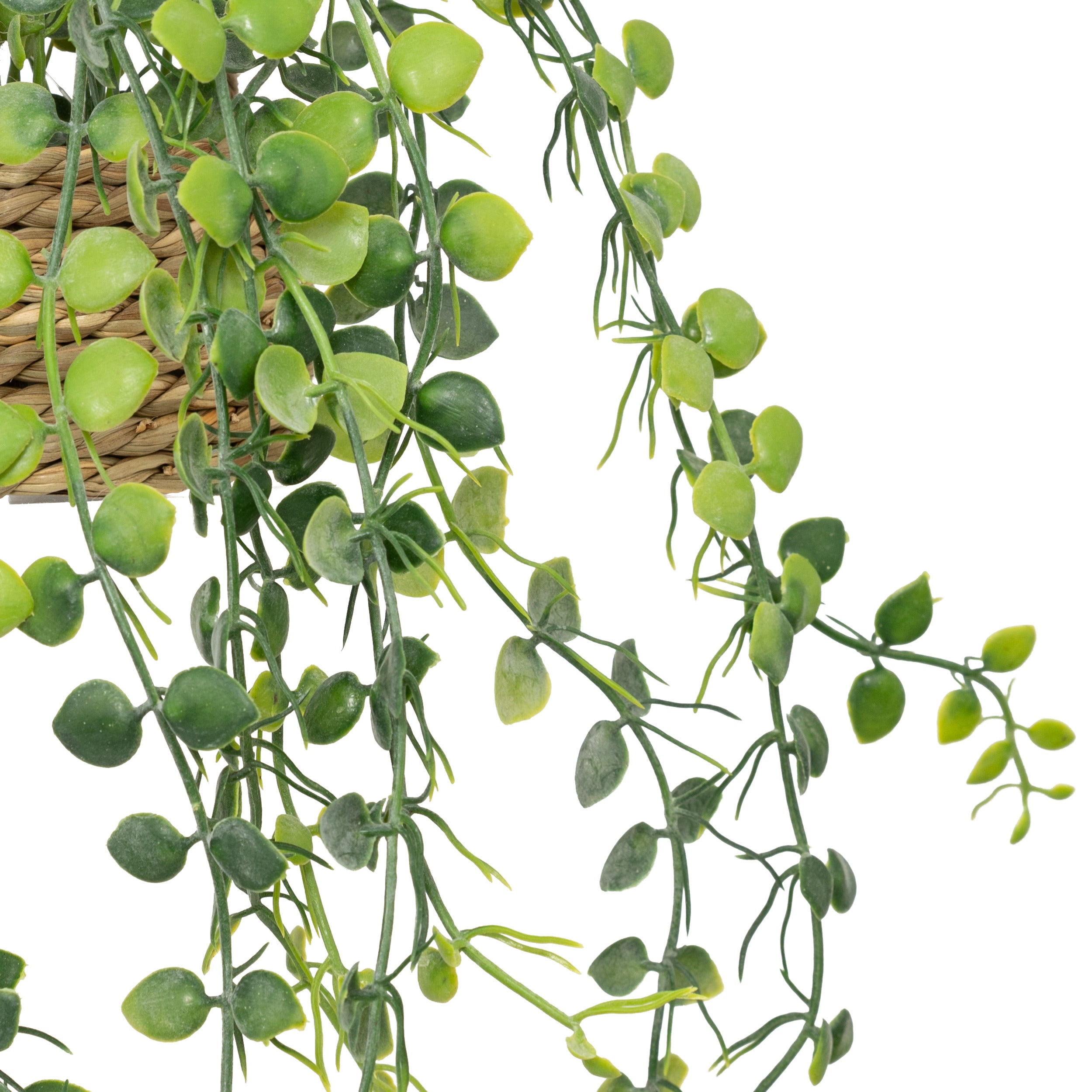 Floare decorativa, euca agatat natur patri H50 cm - Atmosphera