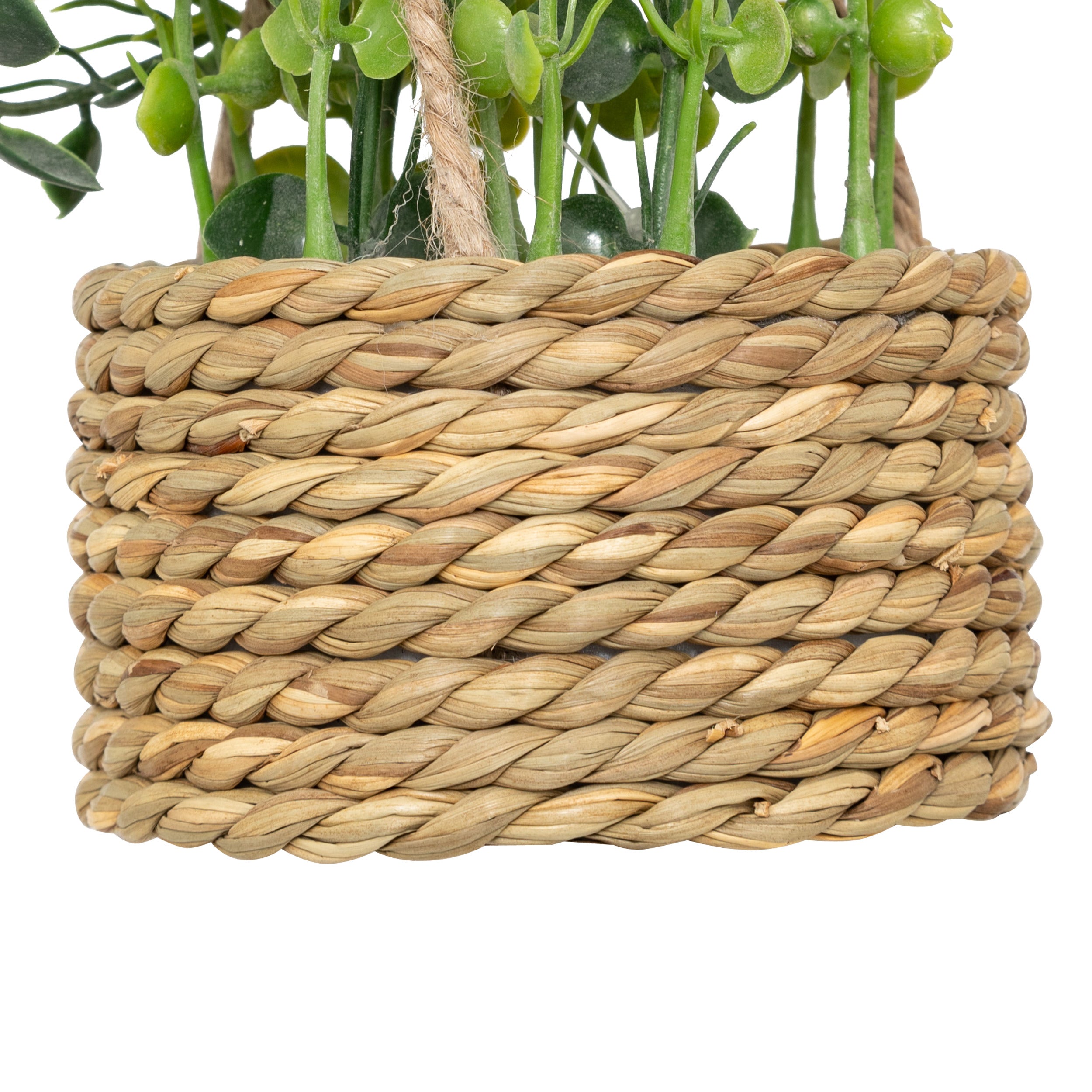 Floare decorativa, euca agatat natur patri H50 cm - Atmosphera