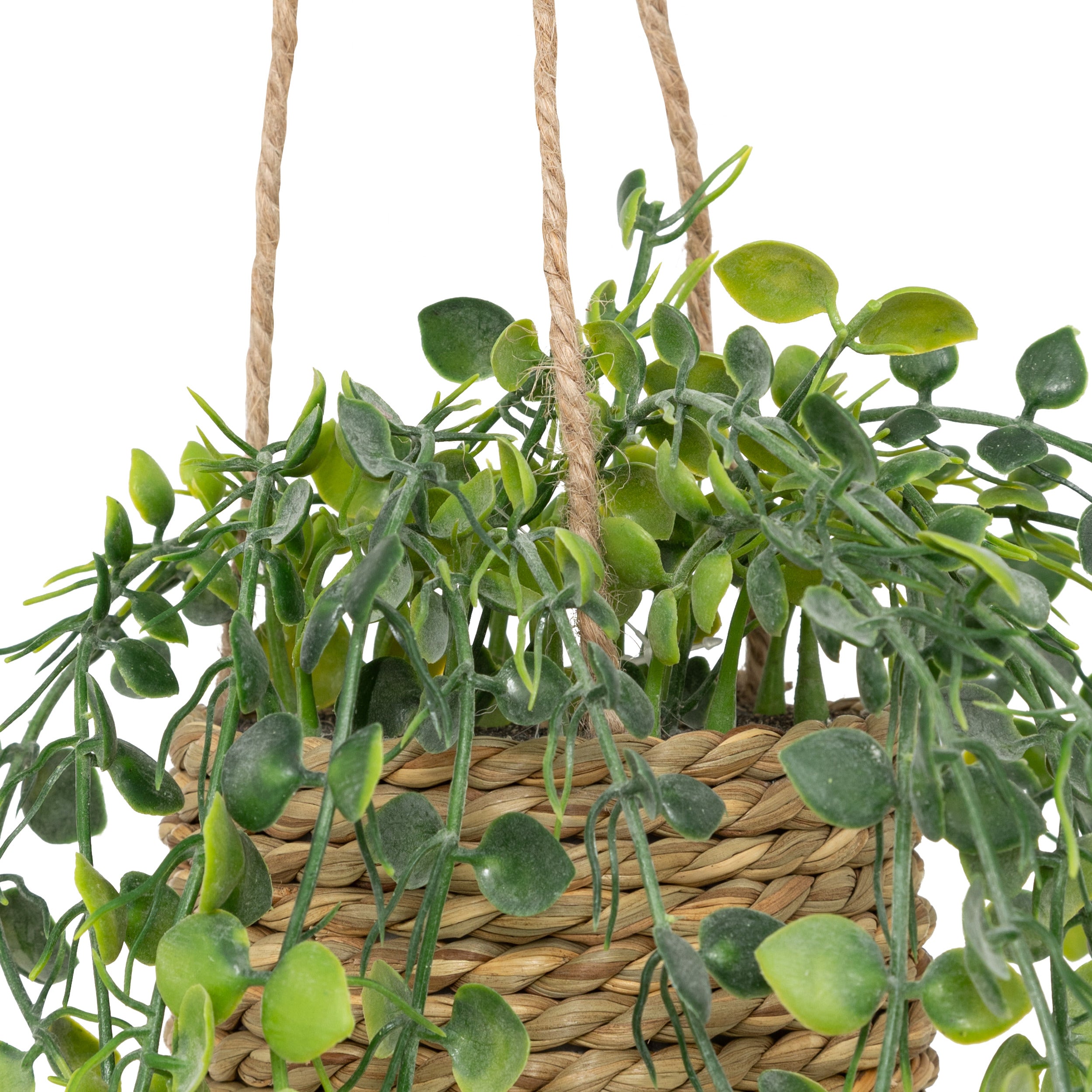 Floare decorativa, euca agatat natur patri H50 cm - Atmosphera
