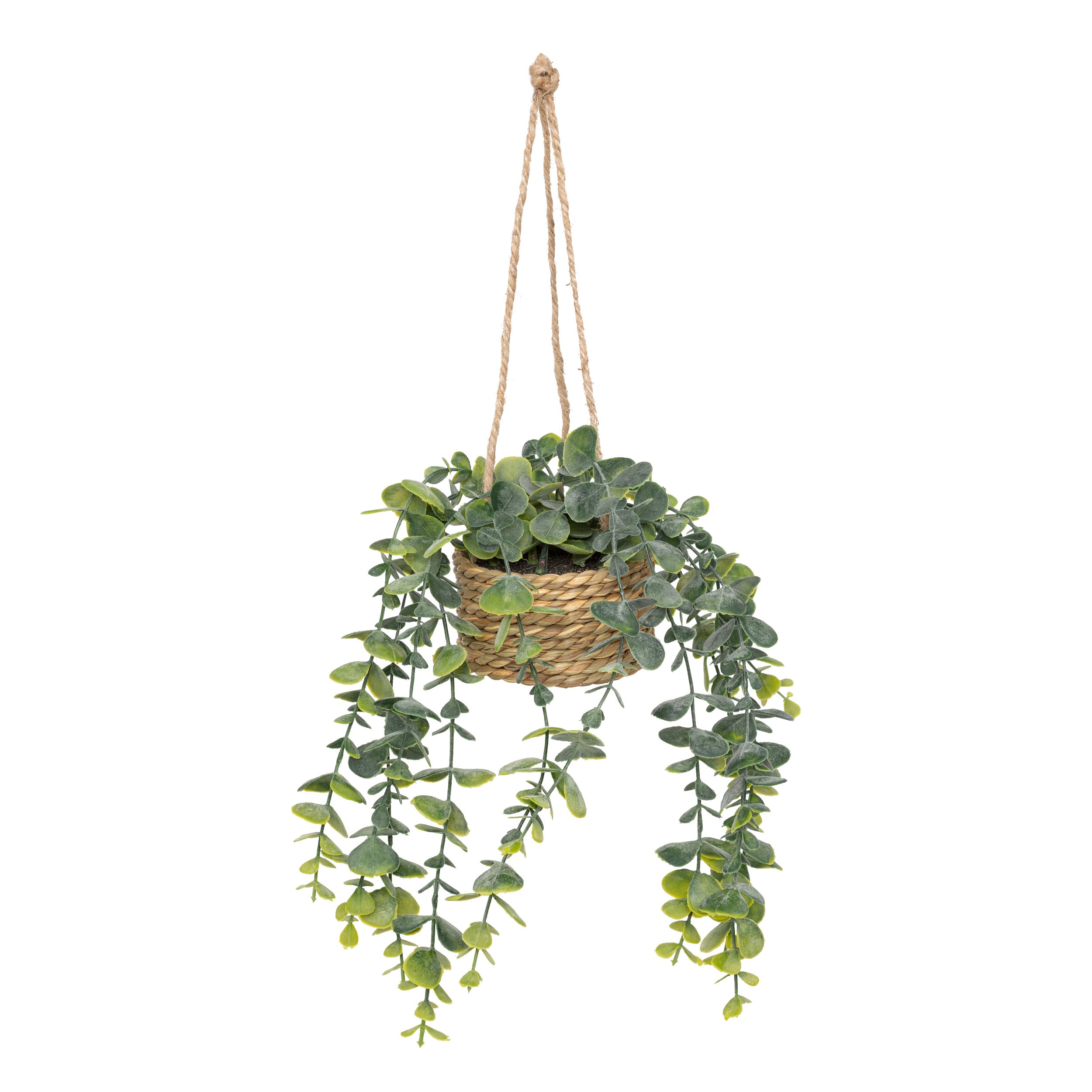Floare decorativa, euca agatat natur patri H50 cm - Atmosphera