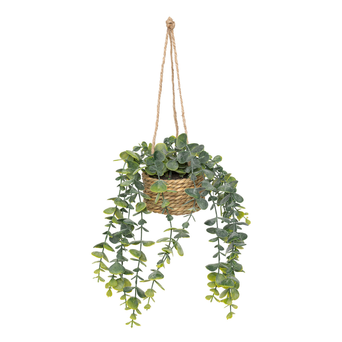 Floare decorativa, euca agatat natur patri H50 cm - Atmosphera