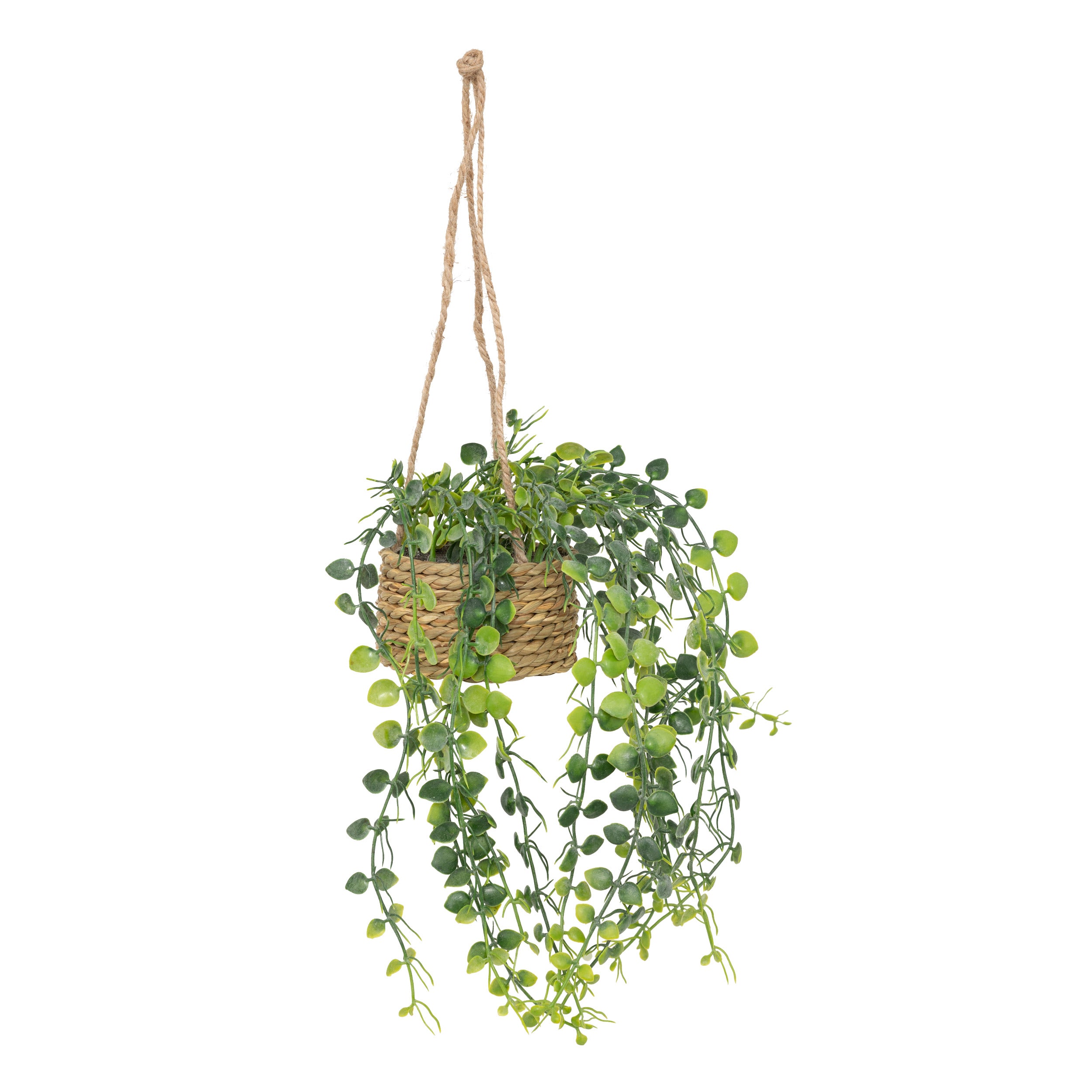 Floare decorativa, euca agatat natur patri H50 cm - Atmosphera