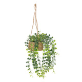 Floare decorativa, euca agatat natur patri H50 cm - Atmosphera