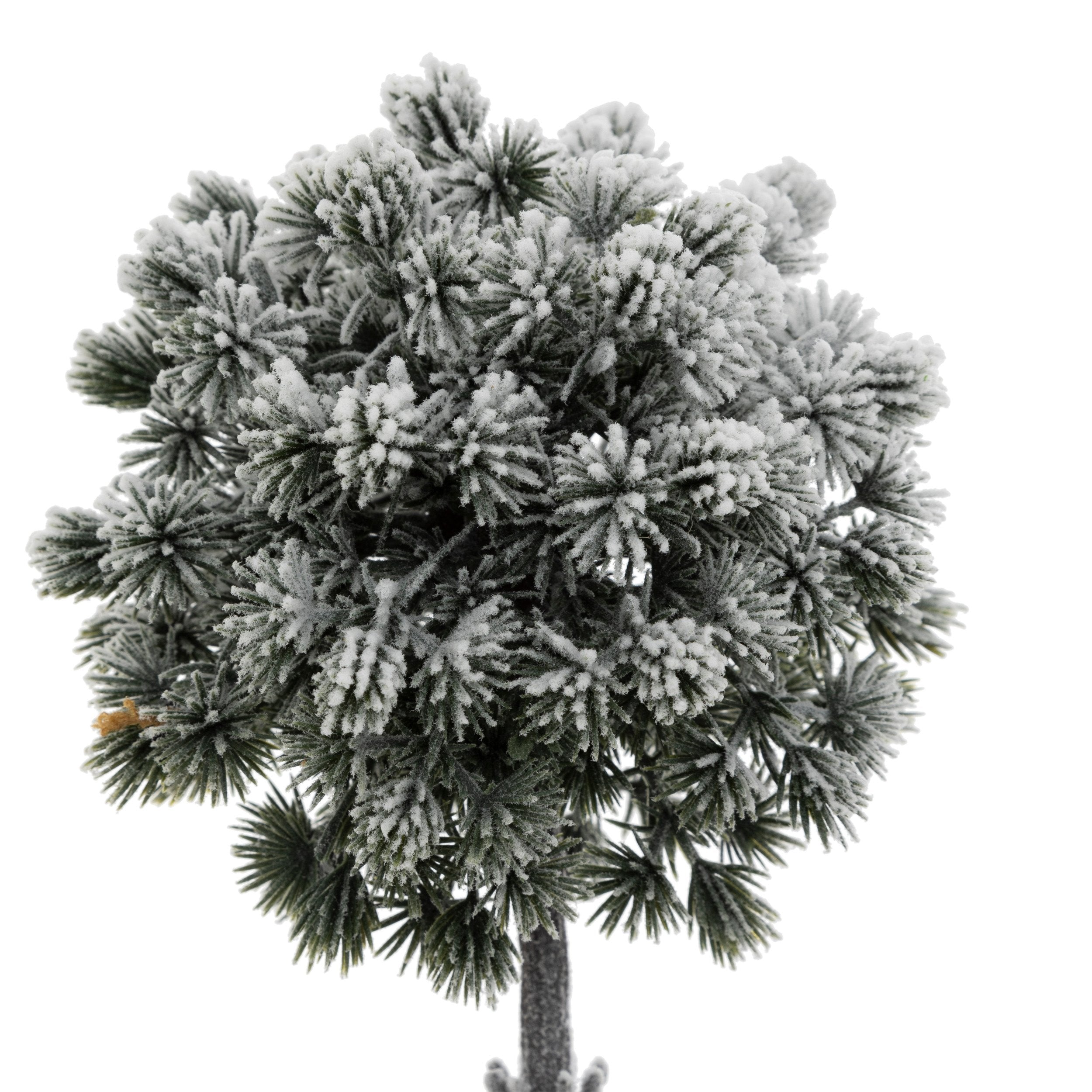 Cimisir inzapezit, H 25 cm | Atmosphera