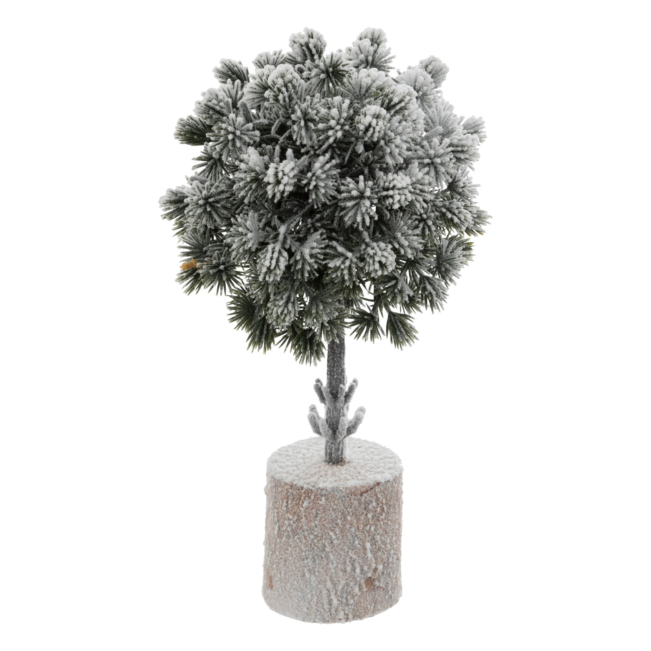 Cimisir inzapezit, H 25 cm | Atmosphera