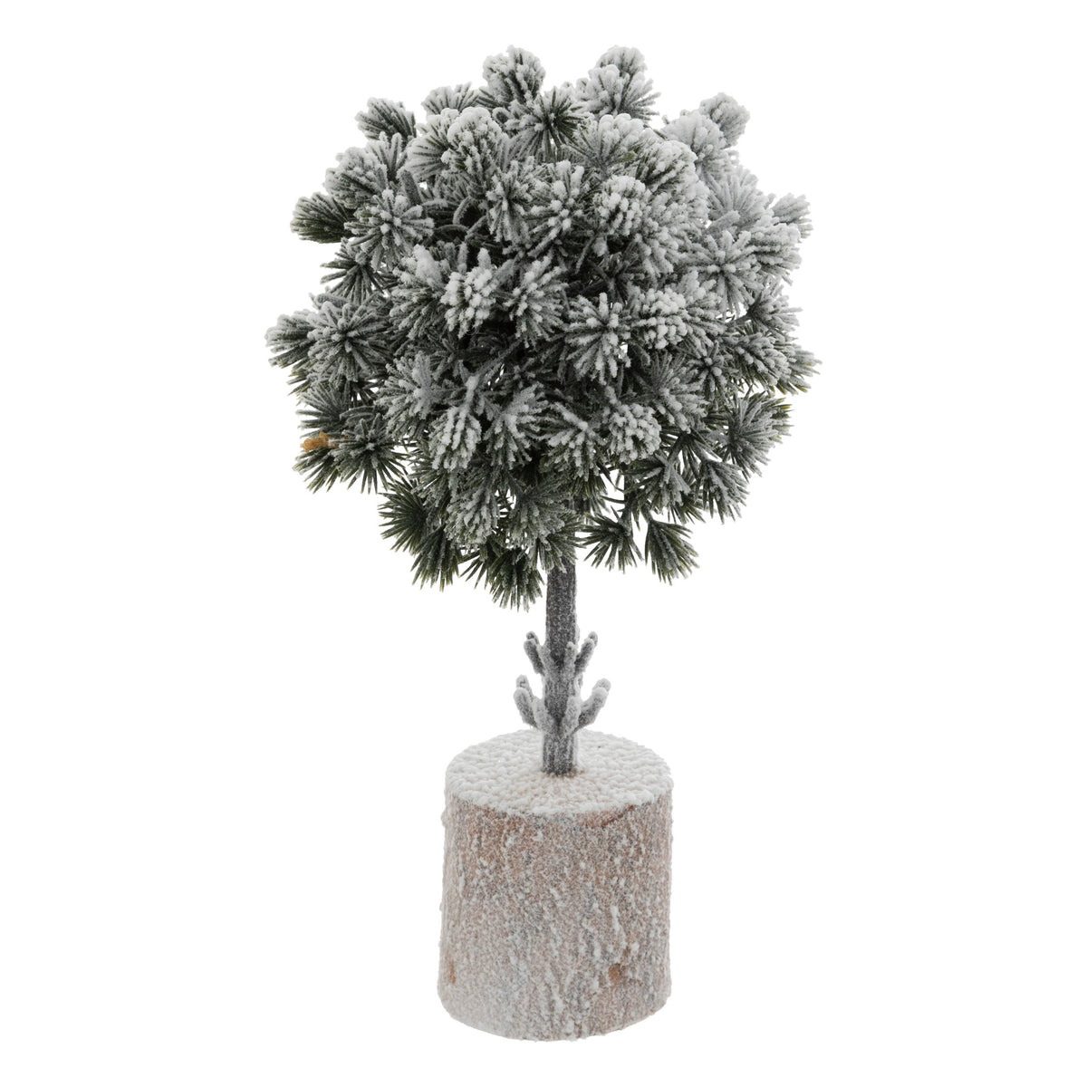 Cimisir inzapezit, H 25 cm | Atmosphera
