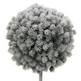 Cimisir inzapezit, H 35 cm | Atmosphera