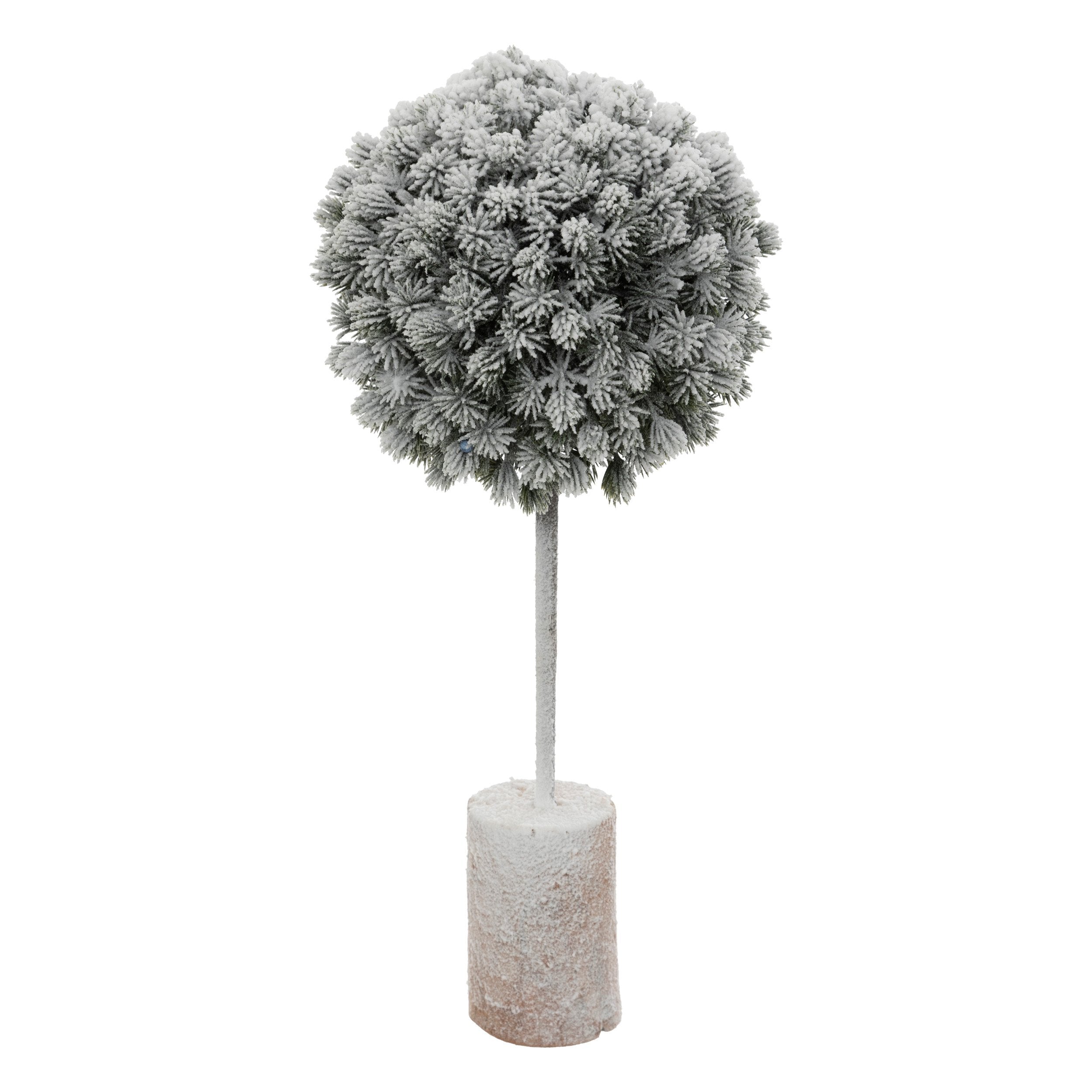 Cimisir inzapezit, H 35 cm | Atmosphera