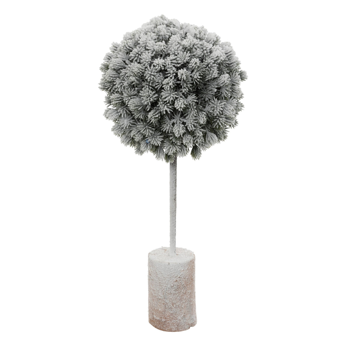 Cimisir inzapezit, H 35 cm | Atmosphera