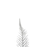 Creanga de chiparos, argintie, H 75 cm | Atmosphera