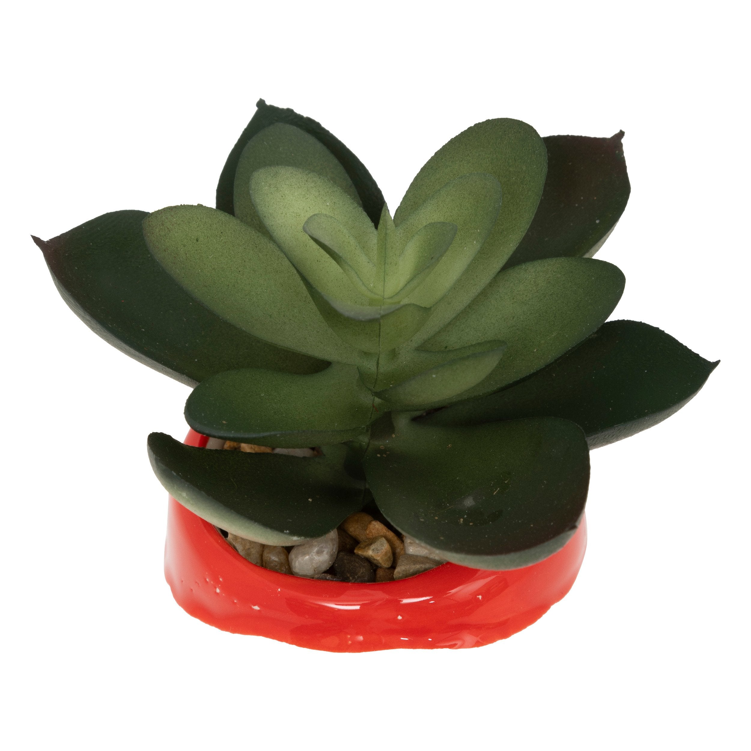 Planta de Craciun in ghiveci, H 11 cm | Atmosphera