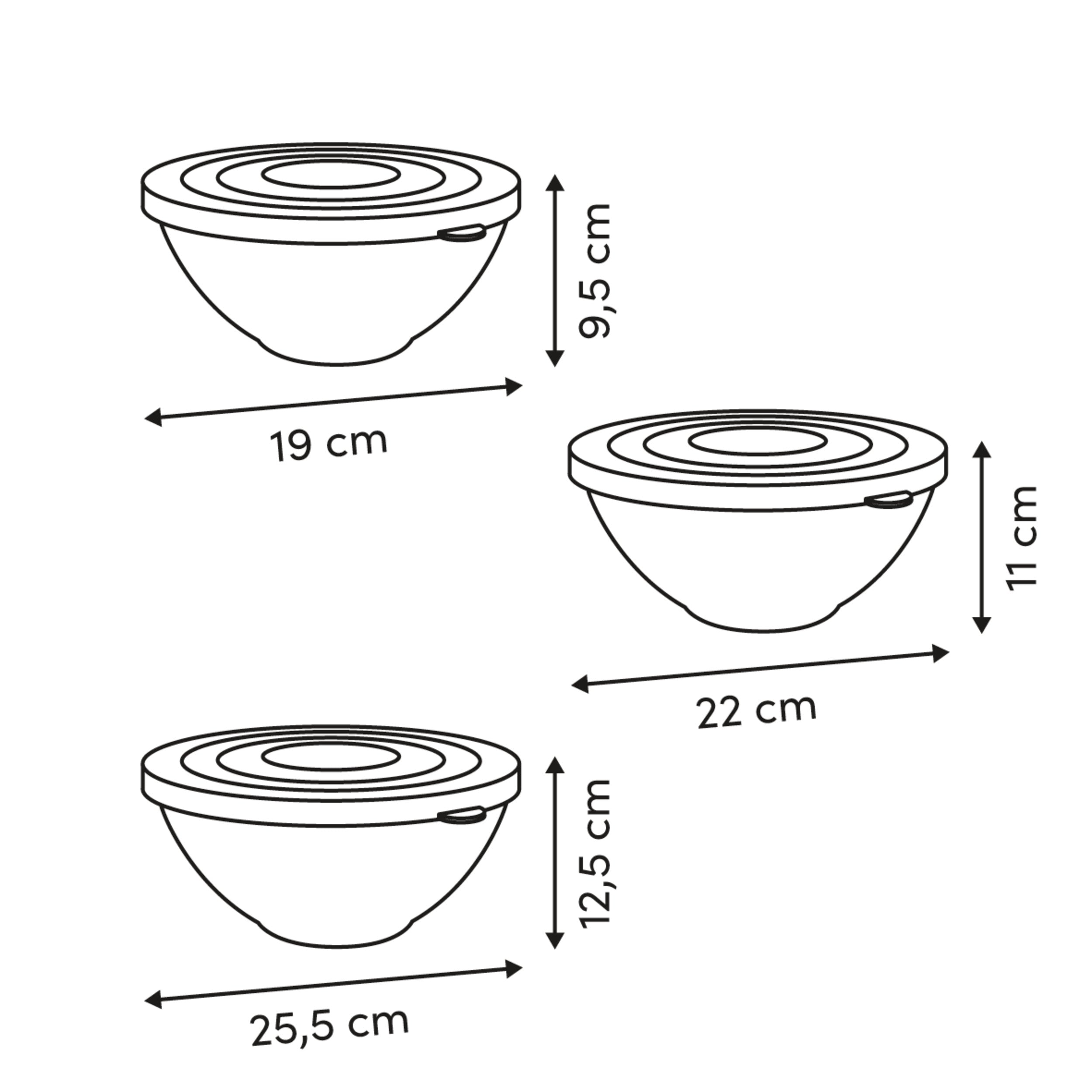 Salad bowls with lid set 3 buc - Five