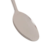 Solstice s/steel spoon - Five