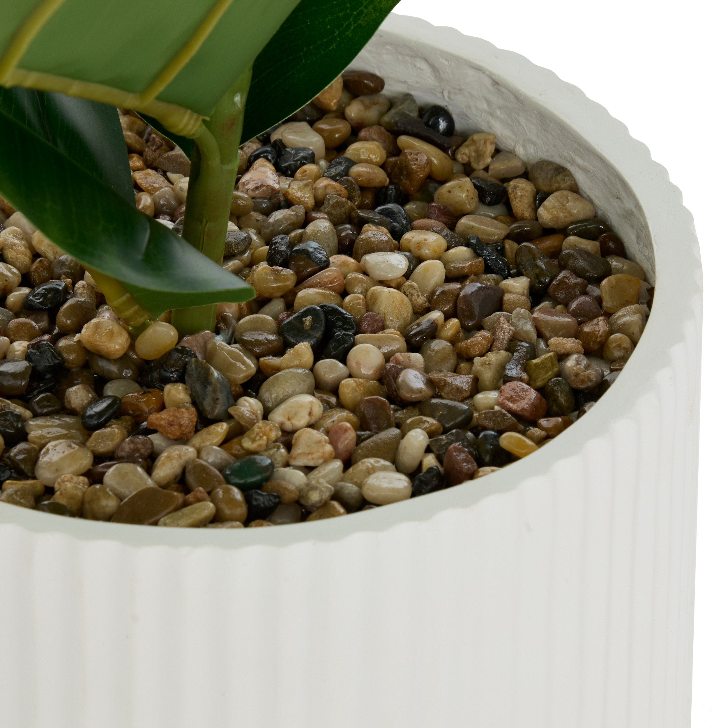 Ficus Sky inaltime 145 cm ghiveci ceramic striat Atmosphera