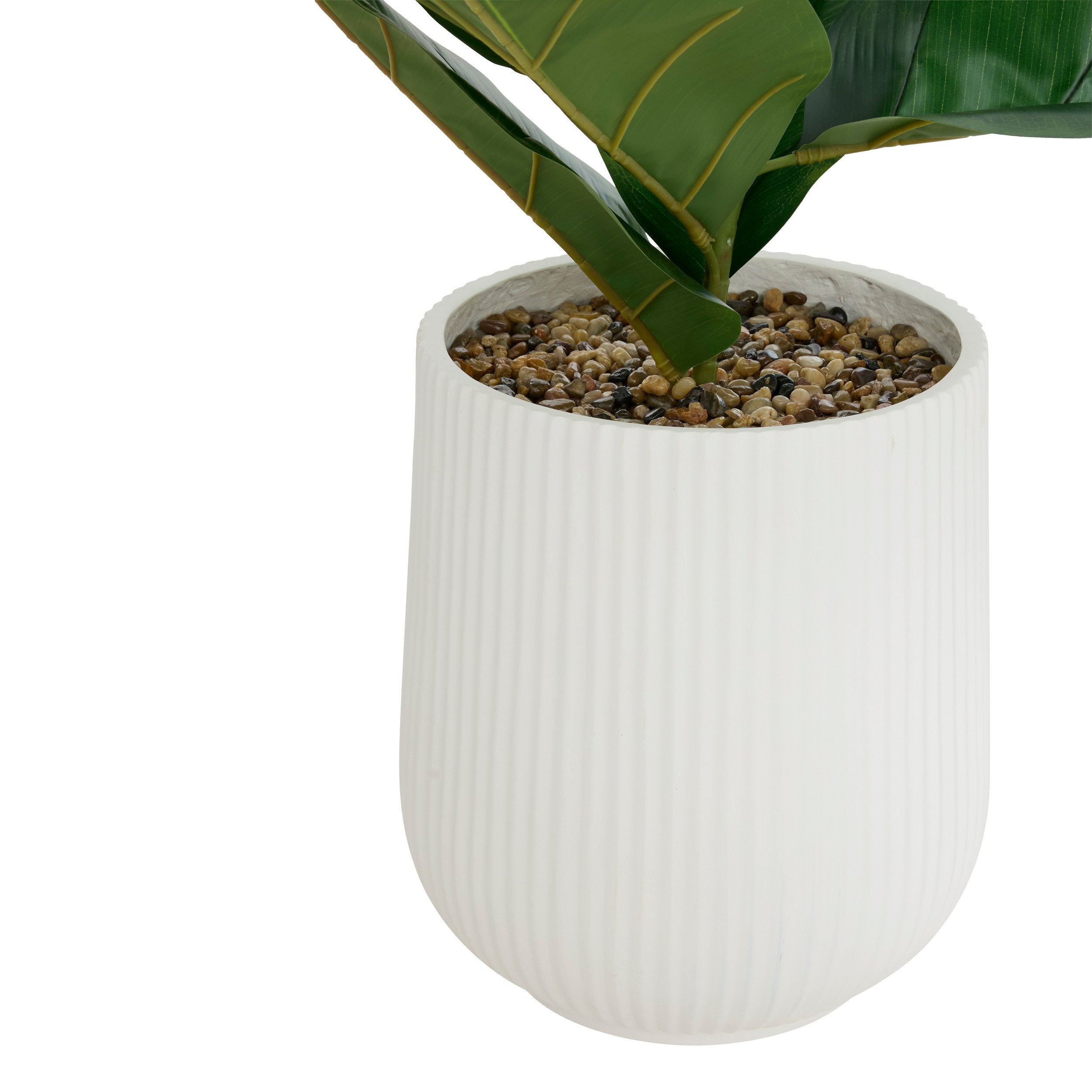 Ficus Sky inaltime 145 cm ghiveci ceramic striat Atmosphera