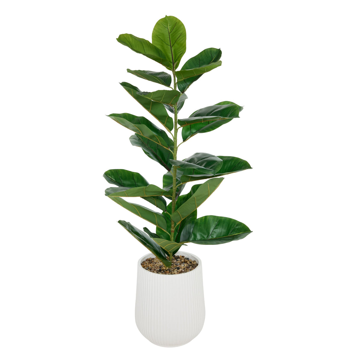 Ficus Sky inaltime 145 cm ghiveci ceramic striat Atmosphera