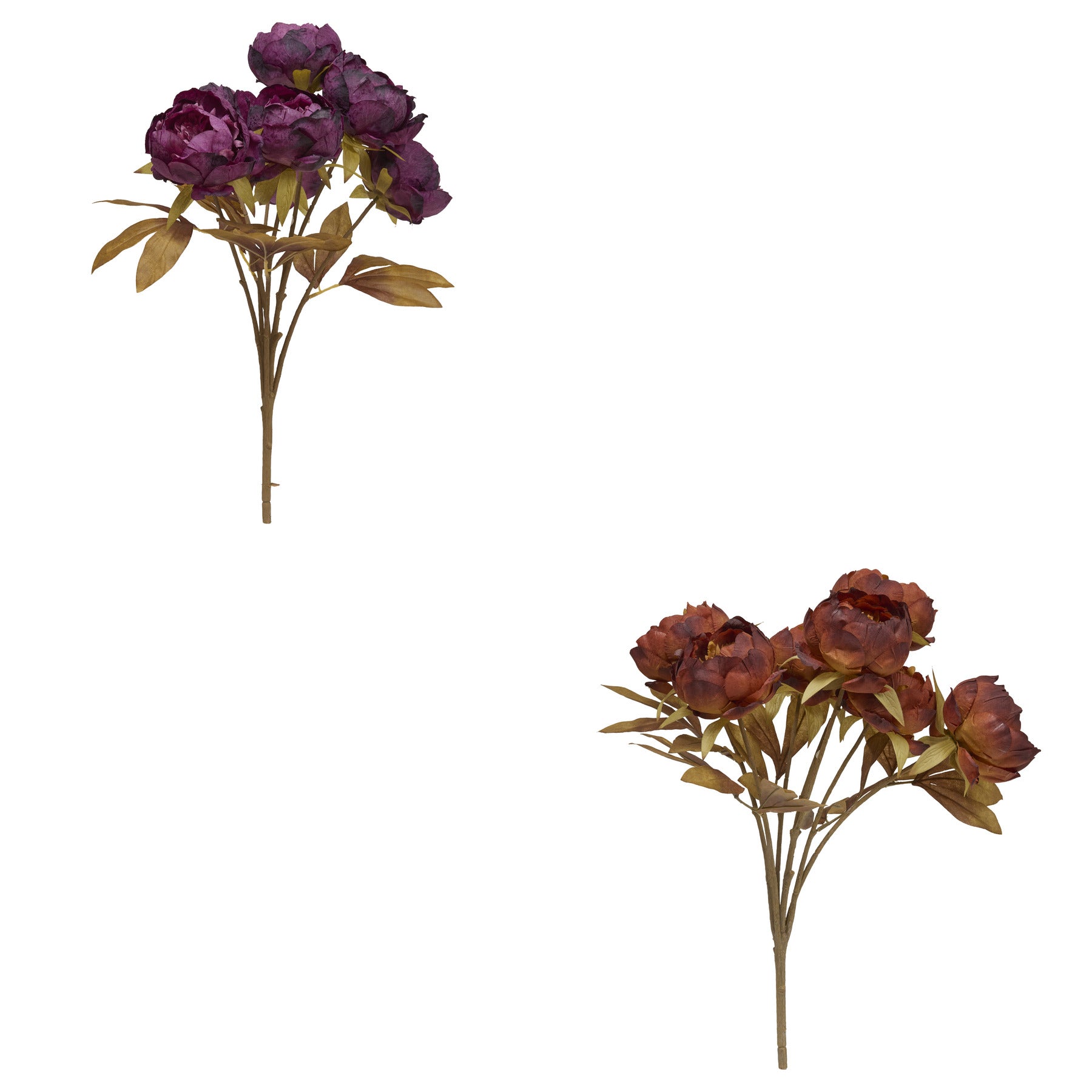 Buchet 5 bujori fria H53 cm - Atmosphera