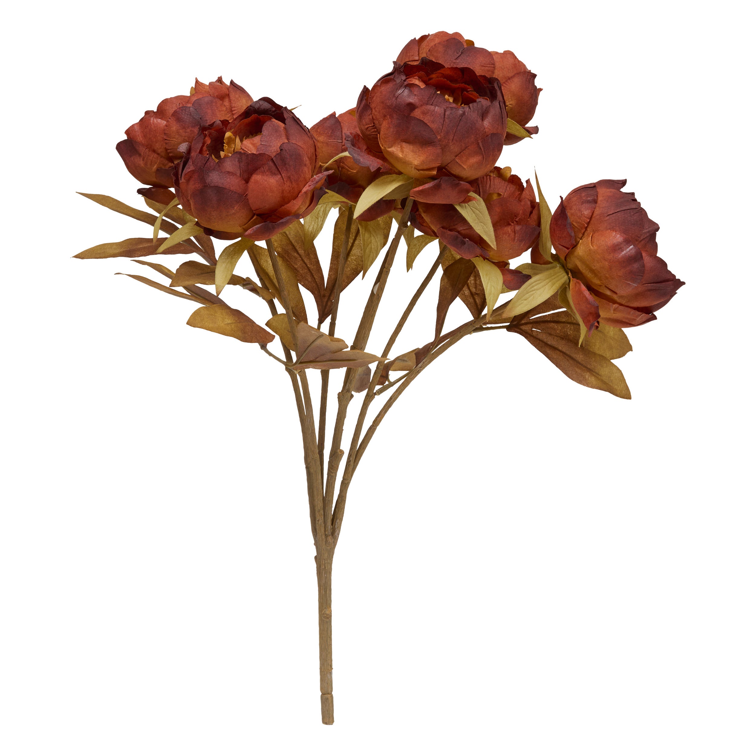 Buchet 5 bujori fria H53 cm - Atmosphera