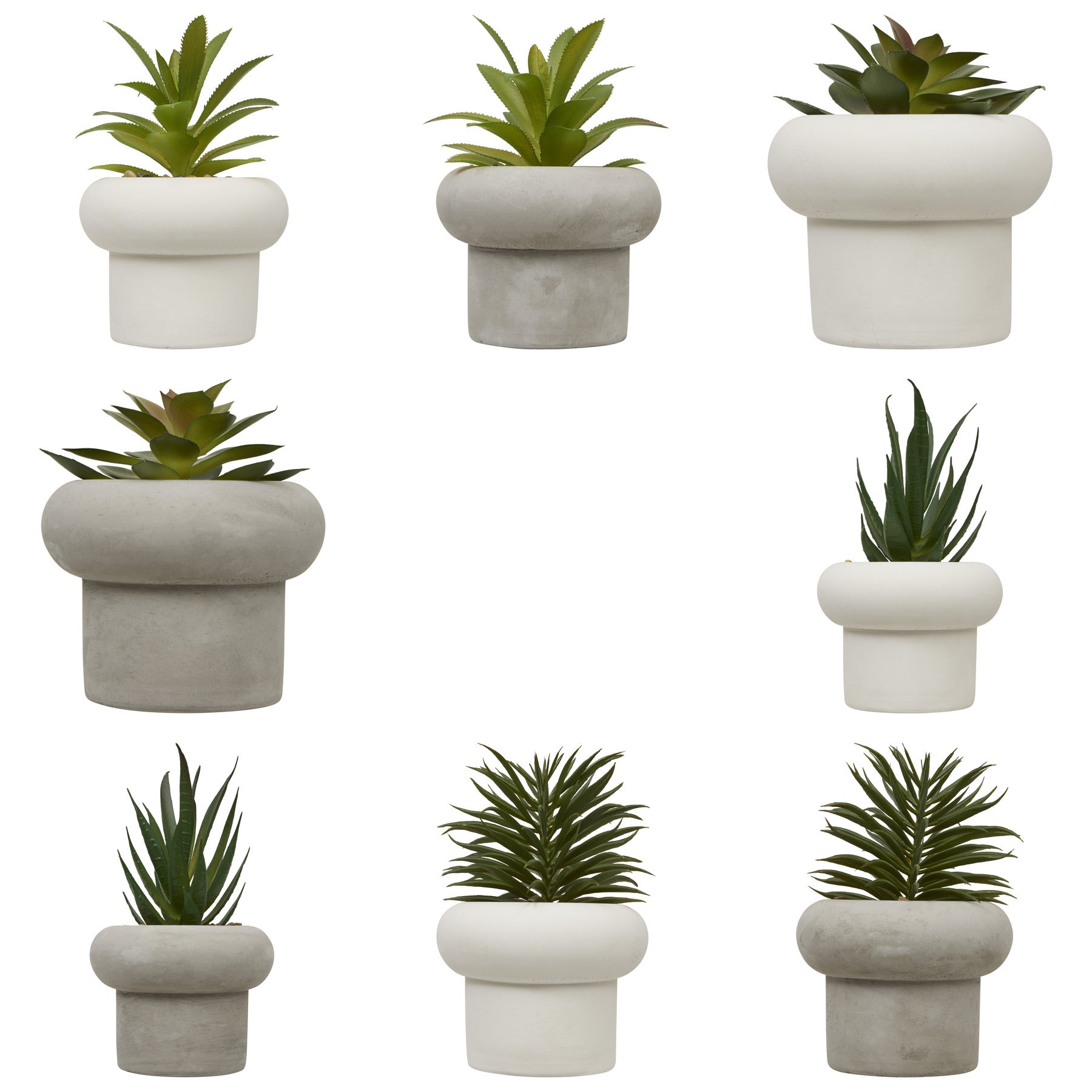 Floare decorativa, suculenta ghiveci cem stefi H15 cm cutie - Atmosphera