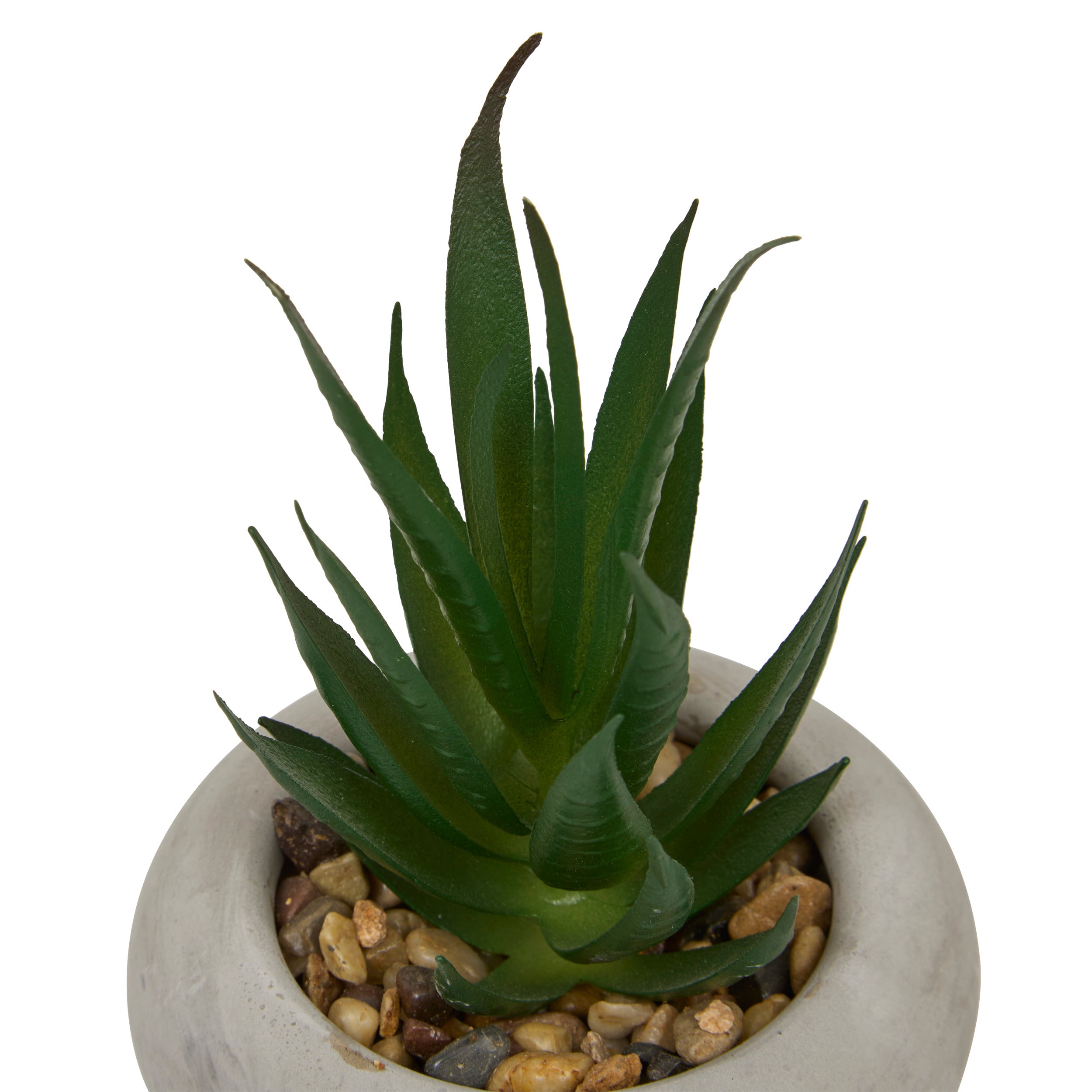 Floare decorativa, suculenta ghiveci cem stefi H15 cm cutie - Atmosphera