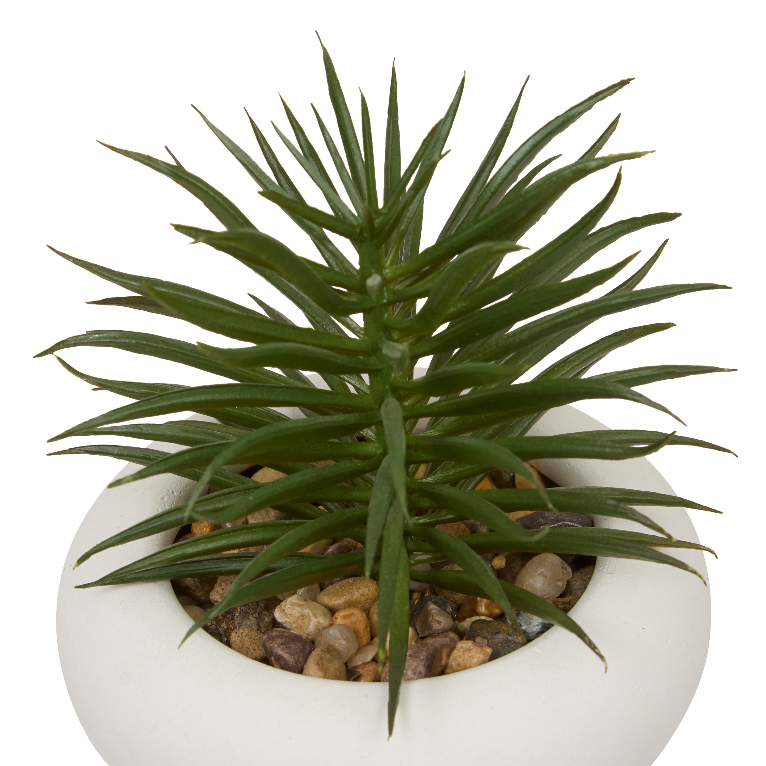 Floare decorativa, suculenta ghiveci cem stefi H15 cm cutie - Atmosphera