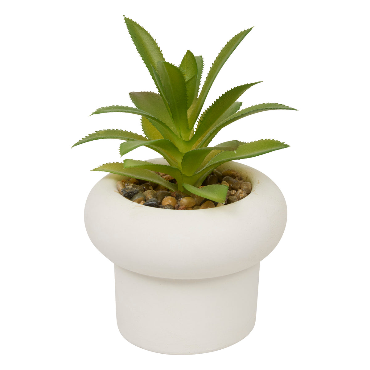 Floare decorativa, suculenta ghiveci cem stefi H15 cm cutie - Atmosphera