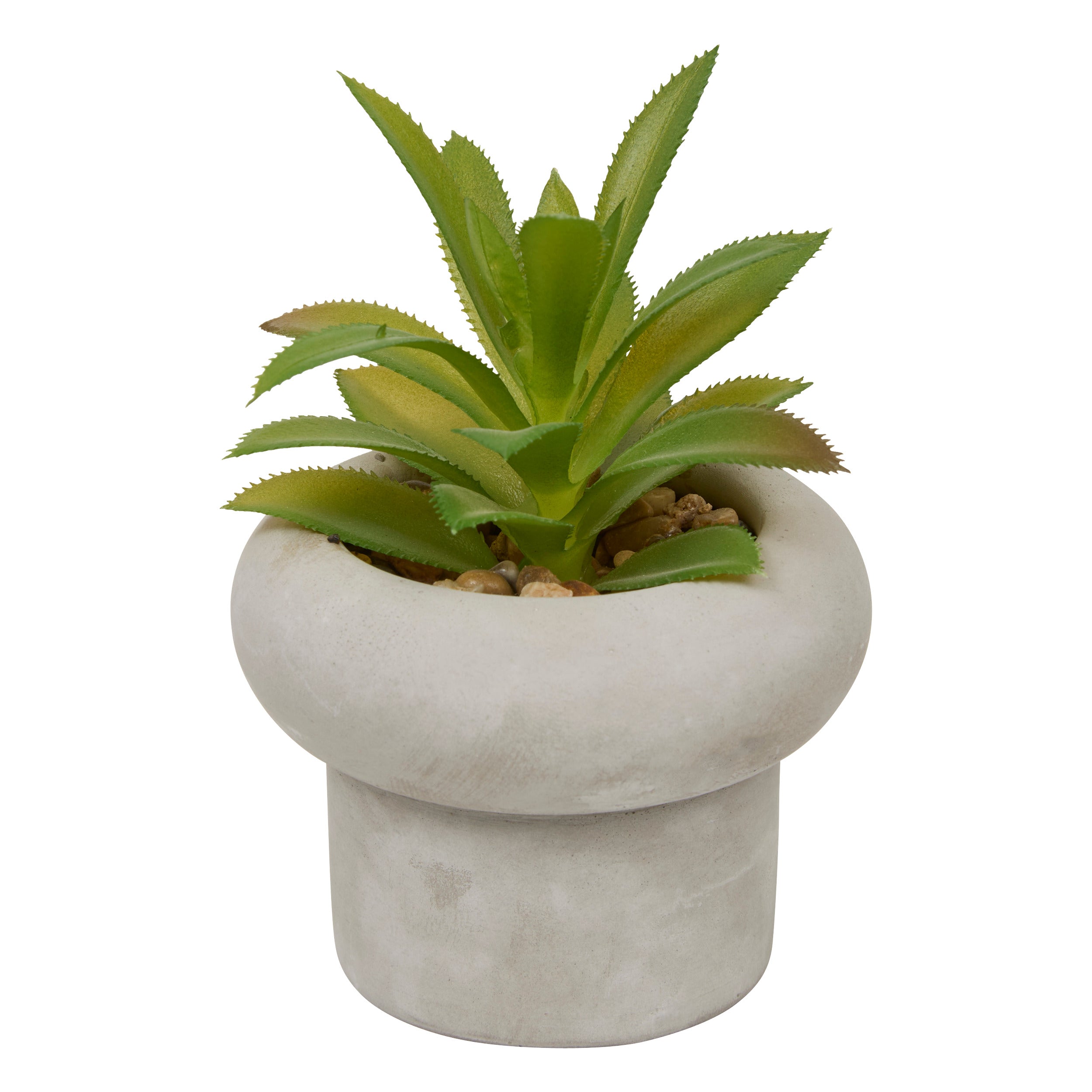 Floare decorativa, suculenta ghiveci cem stefi H15 cm cutie - Atmosphera