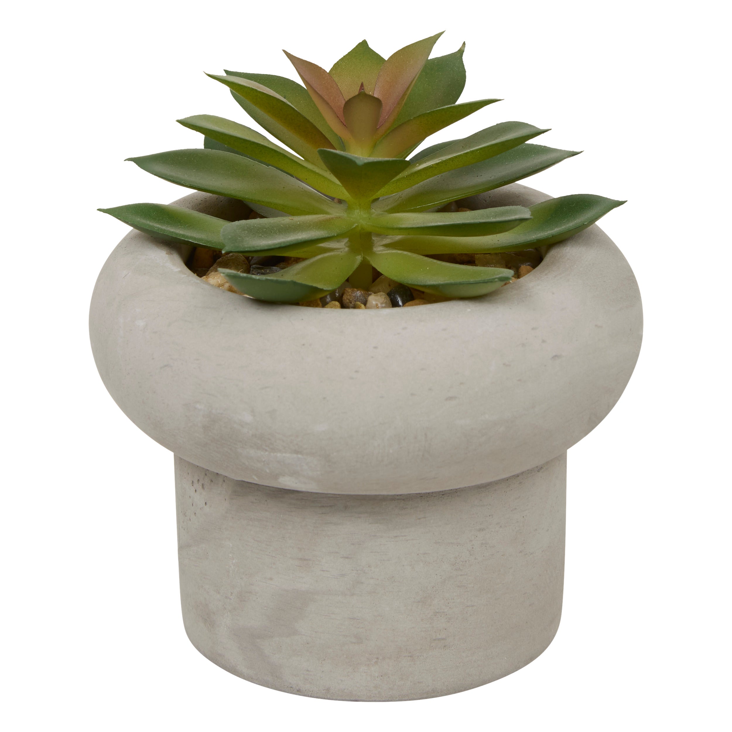 Floare decorativa, suculenta ghiveci cem stefi H15 cm cutie - Atmosphera