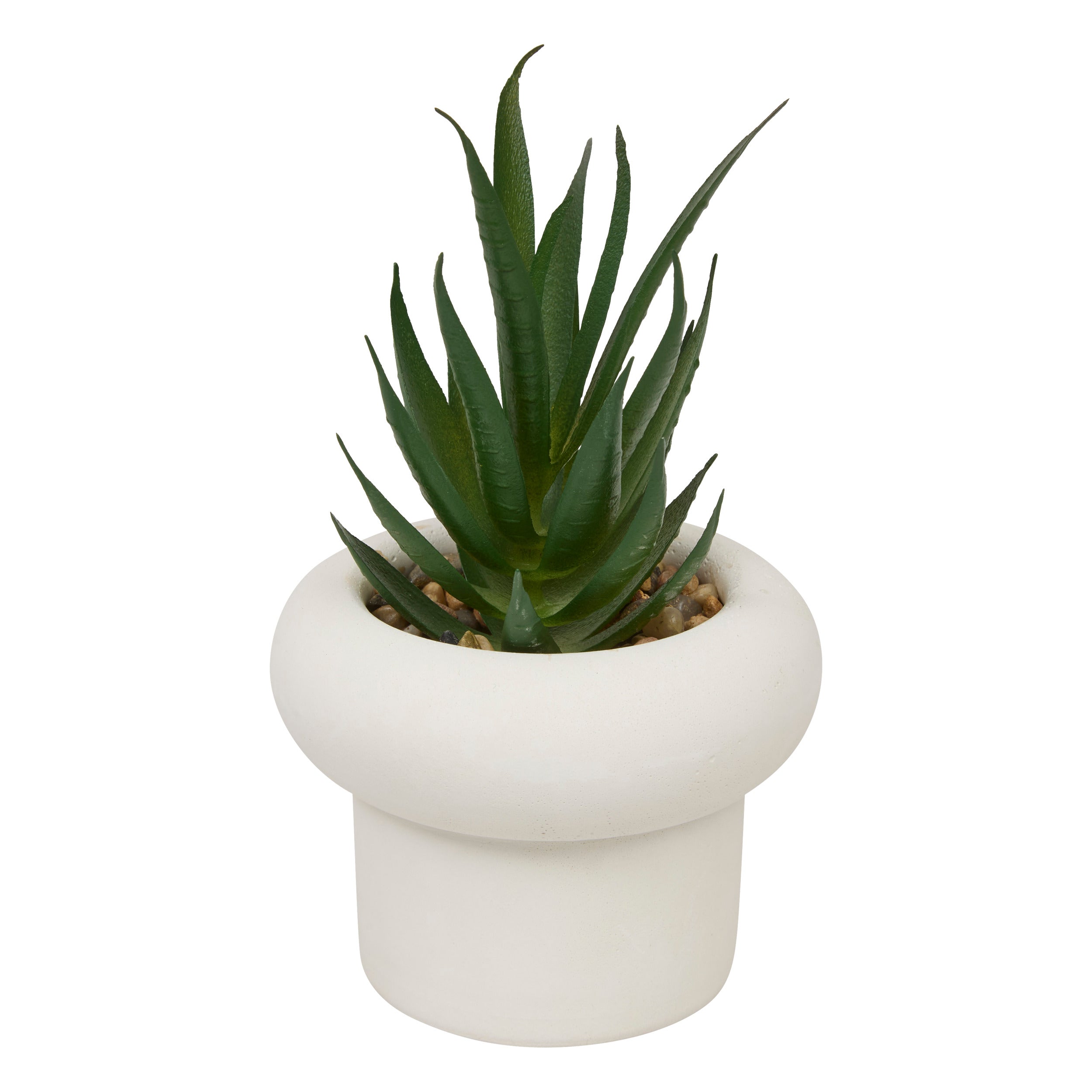 Floare decorativa, suculenta ghiveci cem stefi H15 cm cutie - Atmosphera