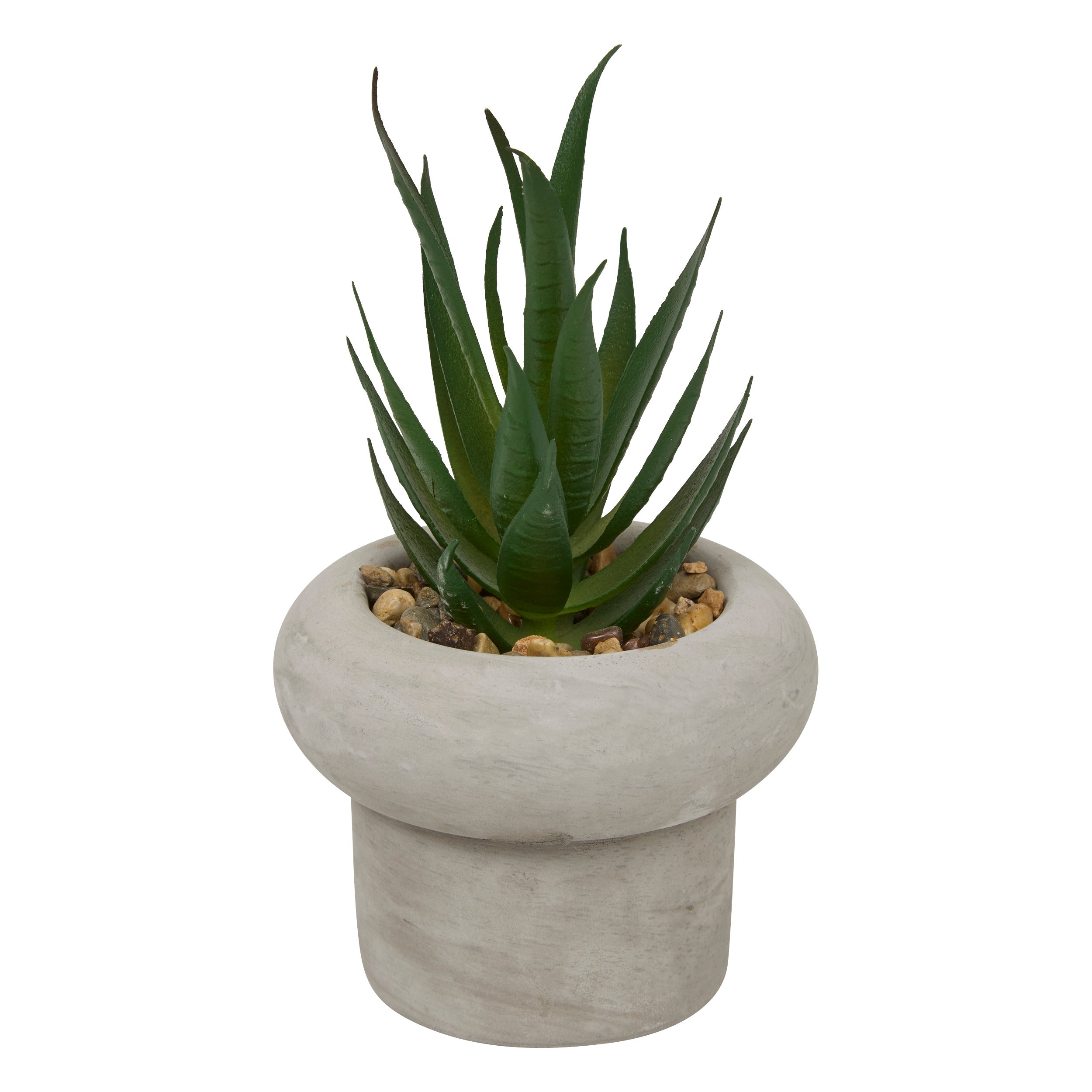 Floare decorativa, suculenta ghiveci cem stefi H15 cm cutie - Atmosphera