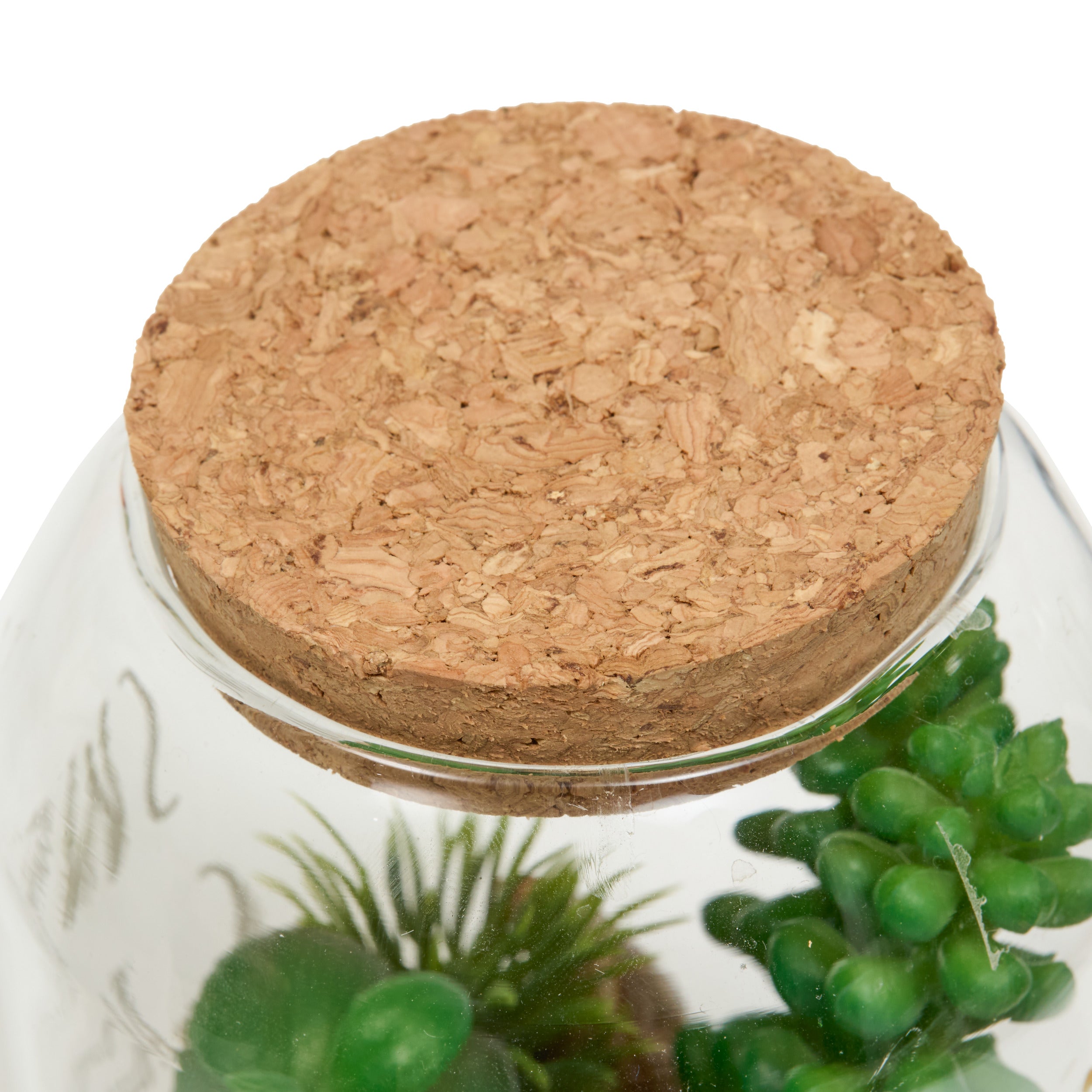 Floare decorativa, terra w/plant ady H13 cm - Atmosphera