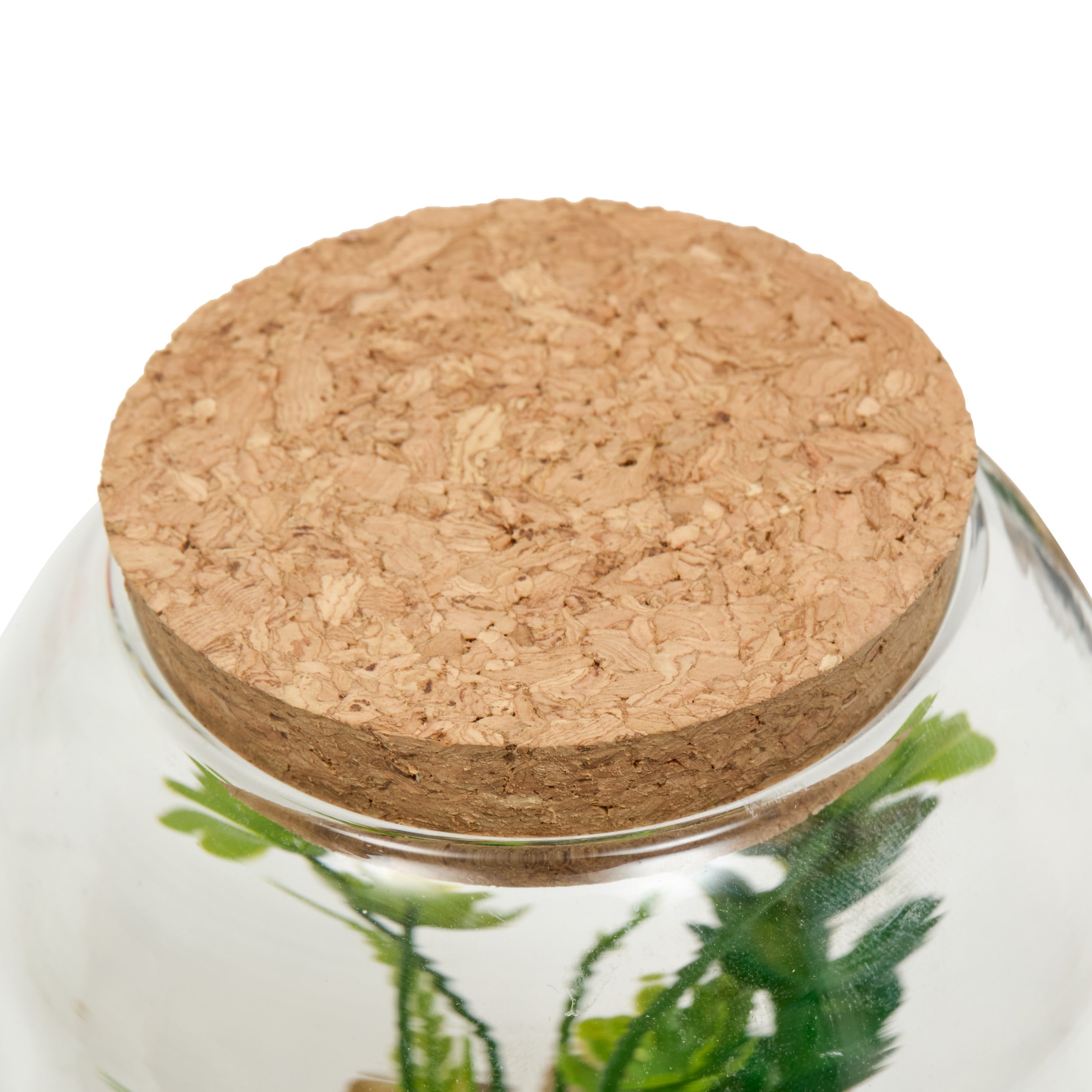 Floare decorativa, terra w/plant ady H13 cm - Atmosphera