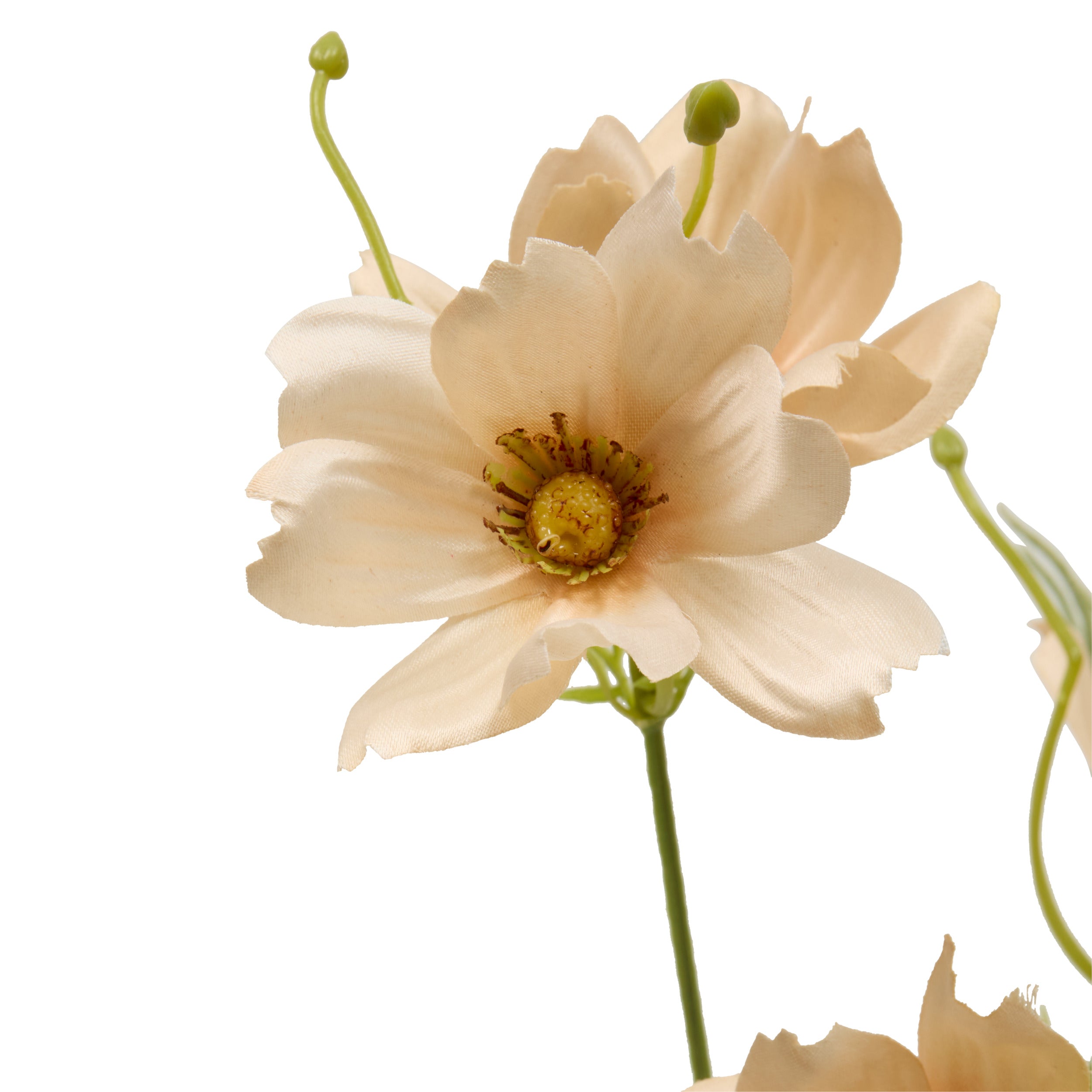 Floare decorativa, coreopsis stem phoebe H88 cm - Atmosphera