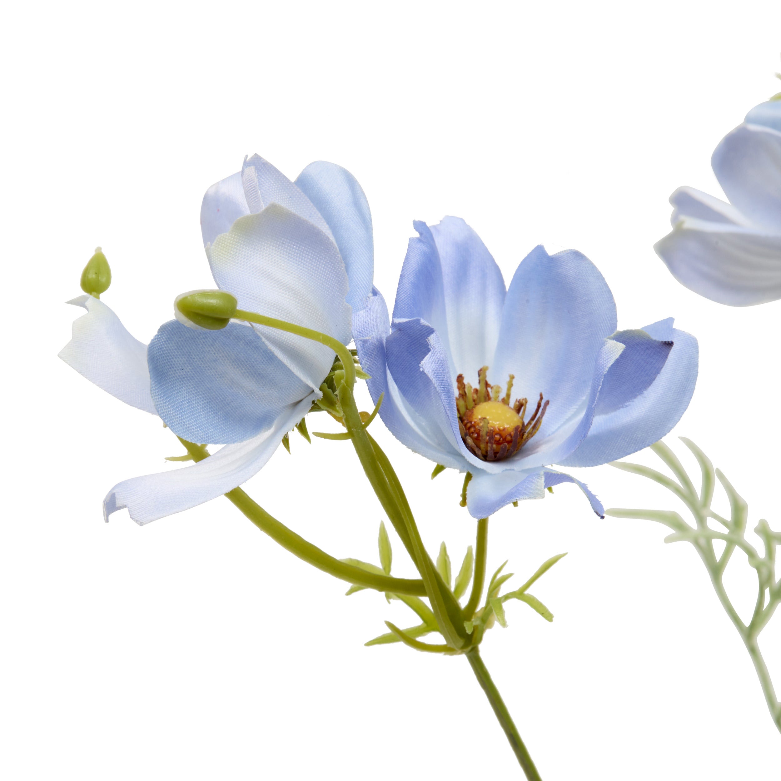Floare decorativa, coreopsis stem phoebe H88 cm - Atmosphera