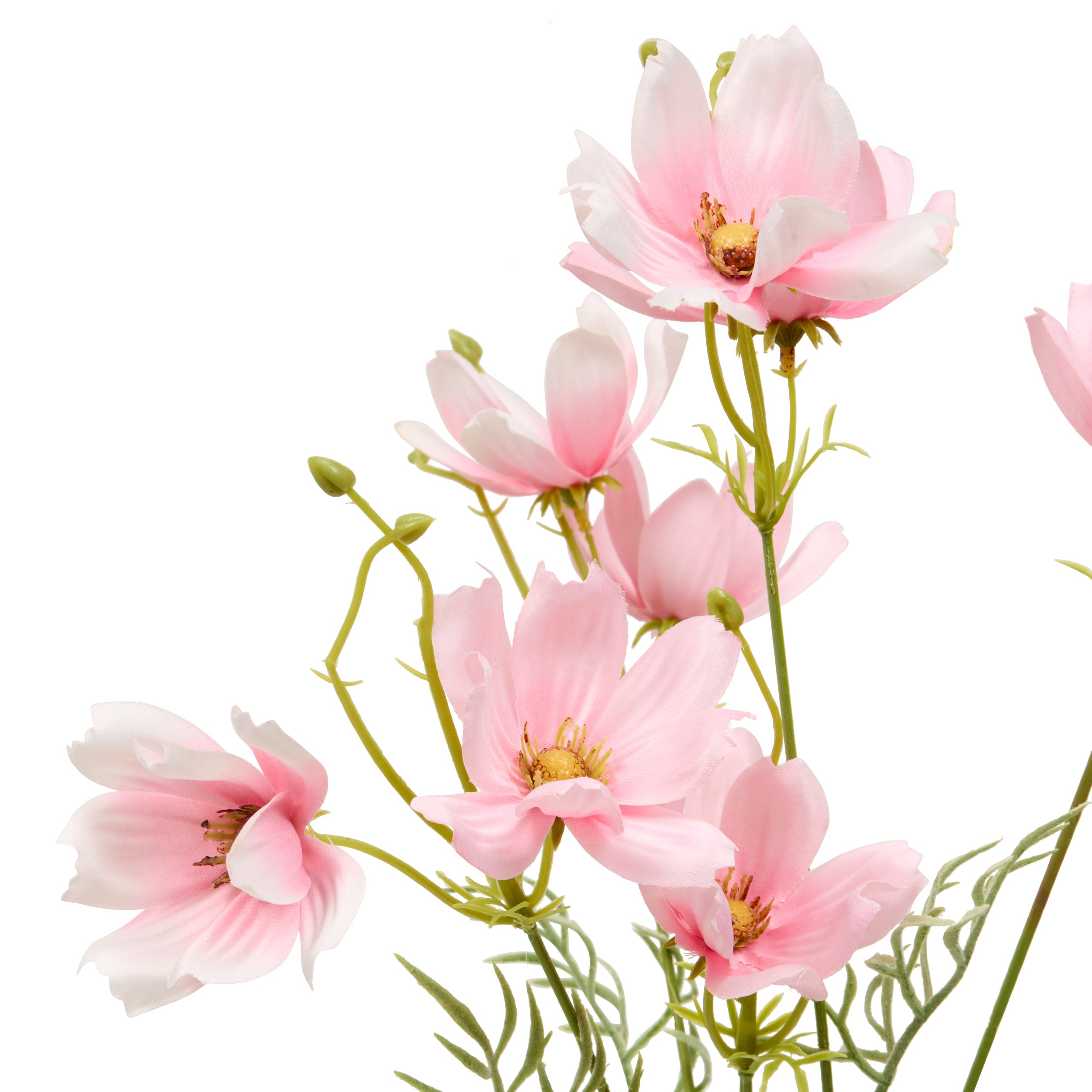 Floare decorativa, coreopsis stem phoebe H88 cm - Atmosphera