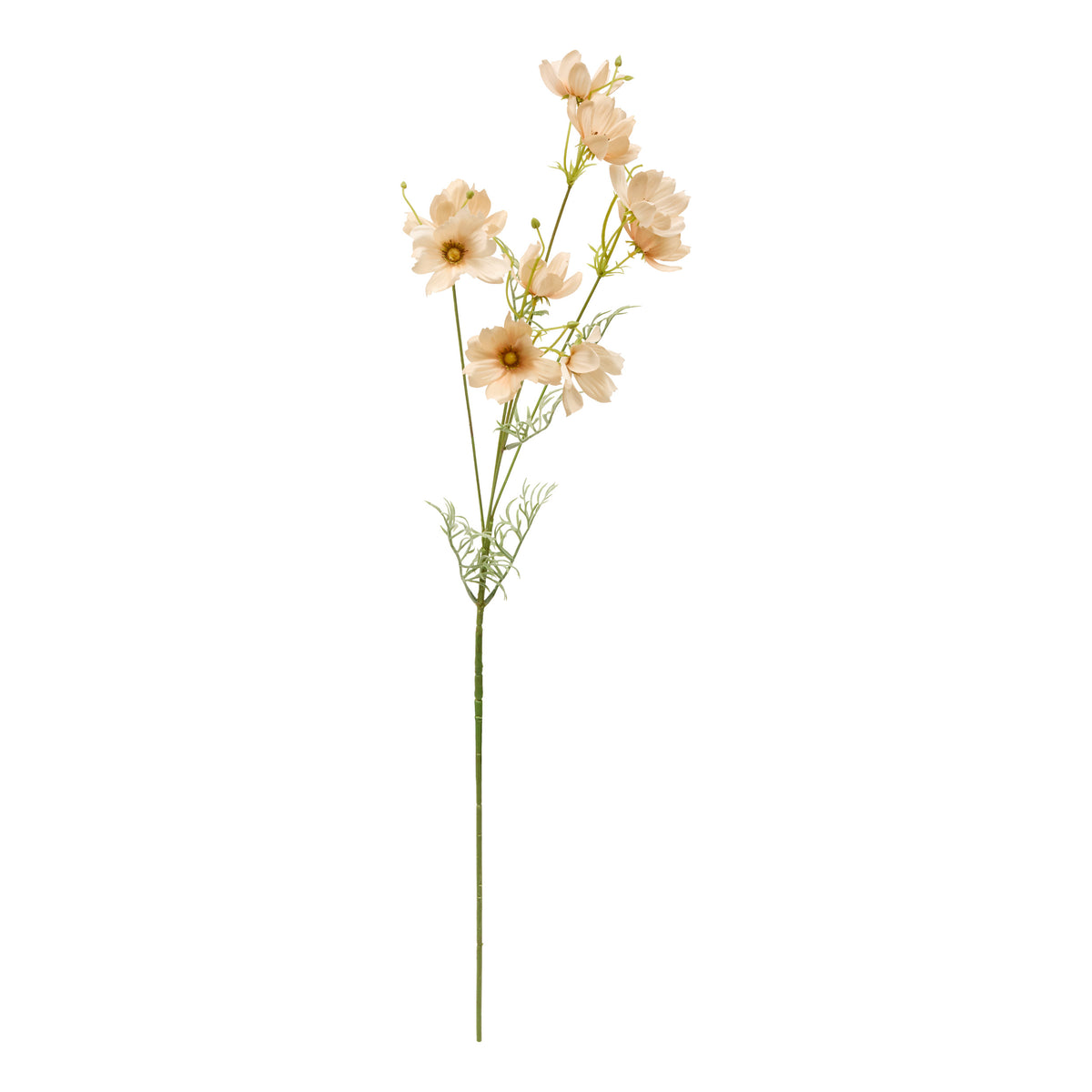 Floare decorativa, coreopsis stem phoebe H88 cm - Atmosphera