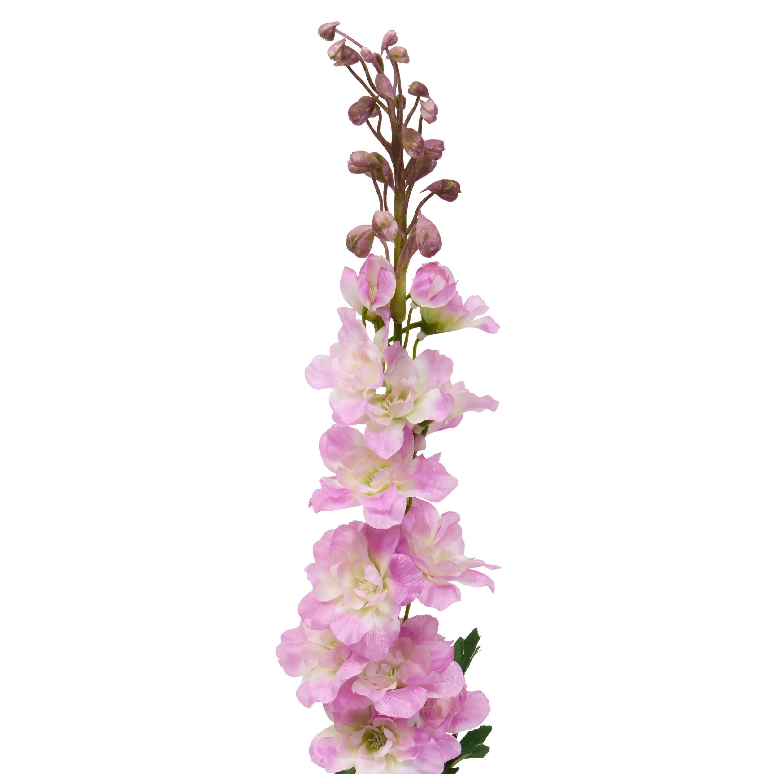 Floare decorativa, delphinium stem phoebe H79 cm - Atmosphera